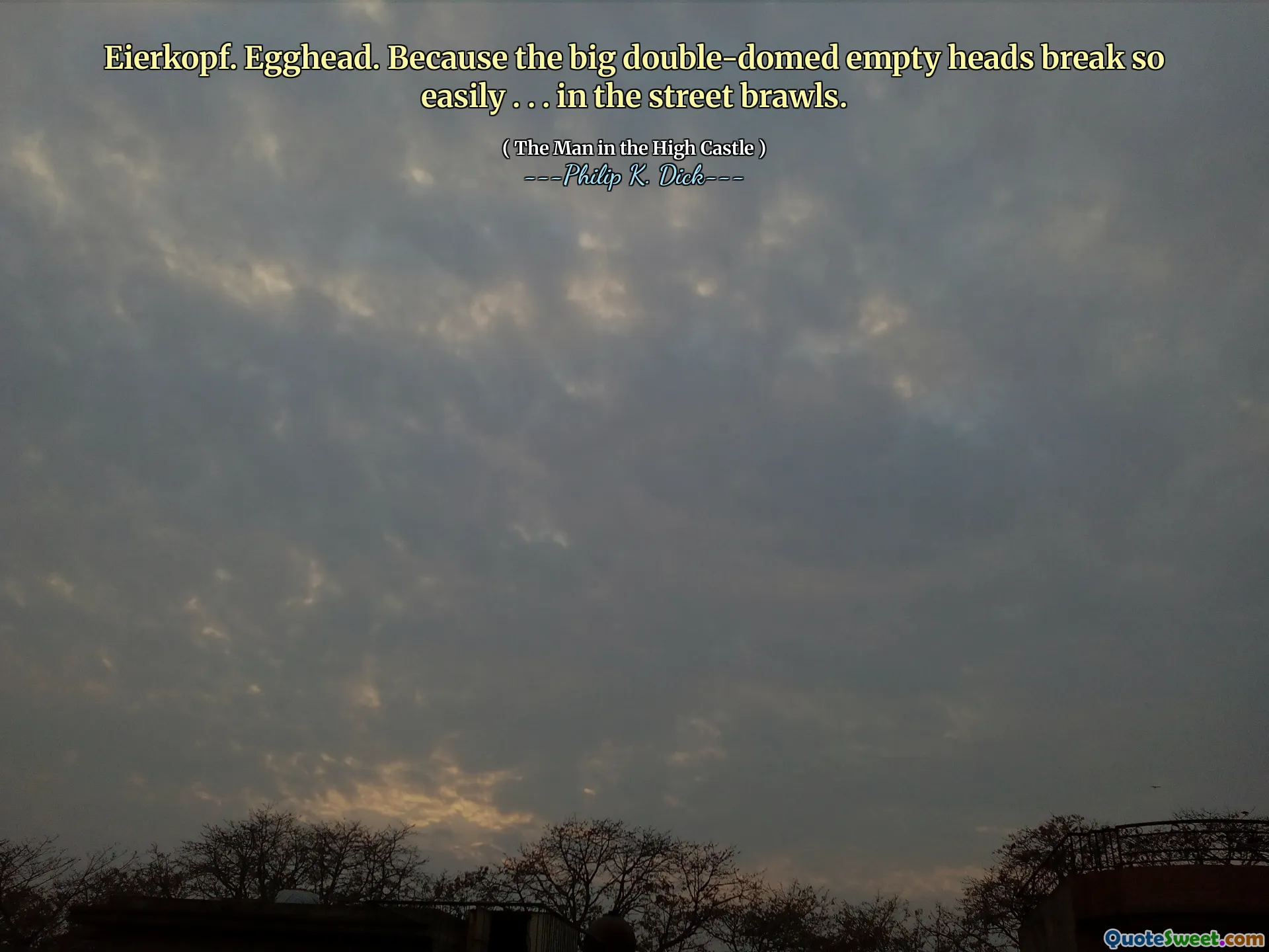 Eierkopf. EGGHEAD. Porque as grandes cabeças vazias de duplo cúpula quebram tão facilmente. . . nas brigas da rua.