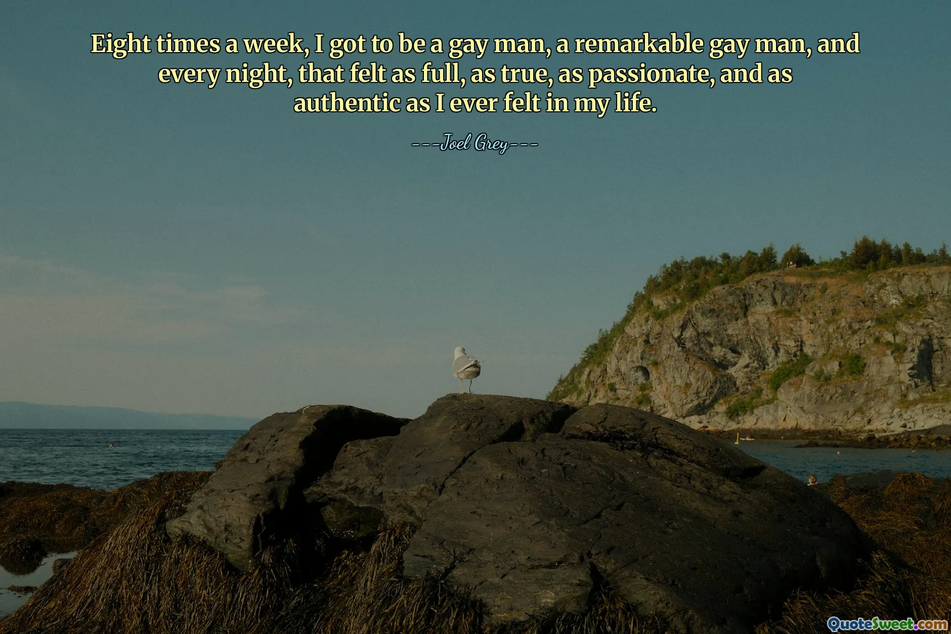 Otto volte a settimana sono diventato un uomo gay, un uomo gay straordinario, e ogni notte mi sentivo pieno, vero, appassionato e autentico come non mi ero mai sentito in vita mia.