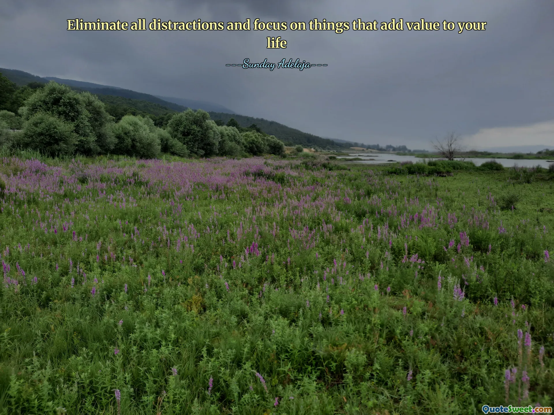 Eliminate all distractions and focus on things that add value to your life