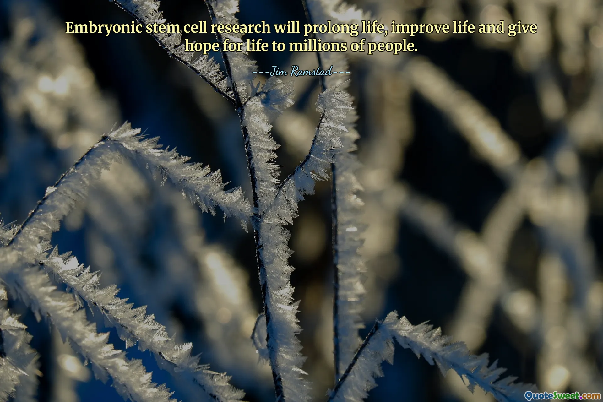 Embryonic stem cell research will prolong life, improve life and give hope for life to millions of people.