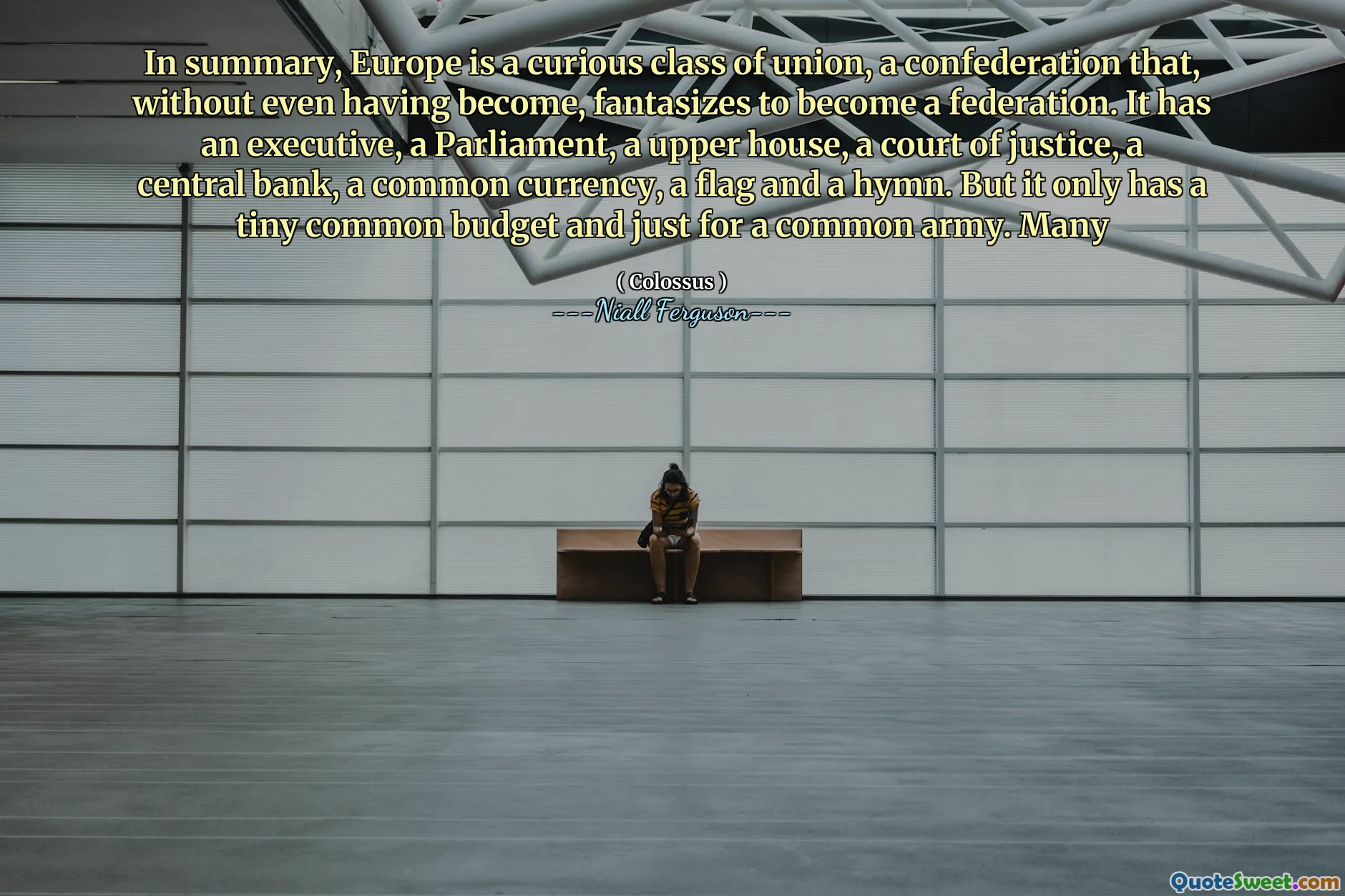 In summary, Europe is a curious class of union, a confederation that, without even having become, fantasizes to become a federation. It has an executive, a Parliament, a upper house, a court of justice, a central bank, a common currency, a flag and a hymn. But it only has a tiny common budget and just for a common army. Many