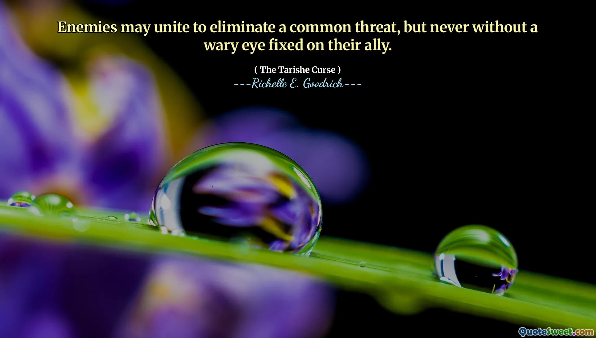 Enemies may unite to eliminate a common threat, but never without a wary eye fixed on their ally.