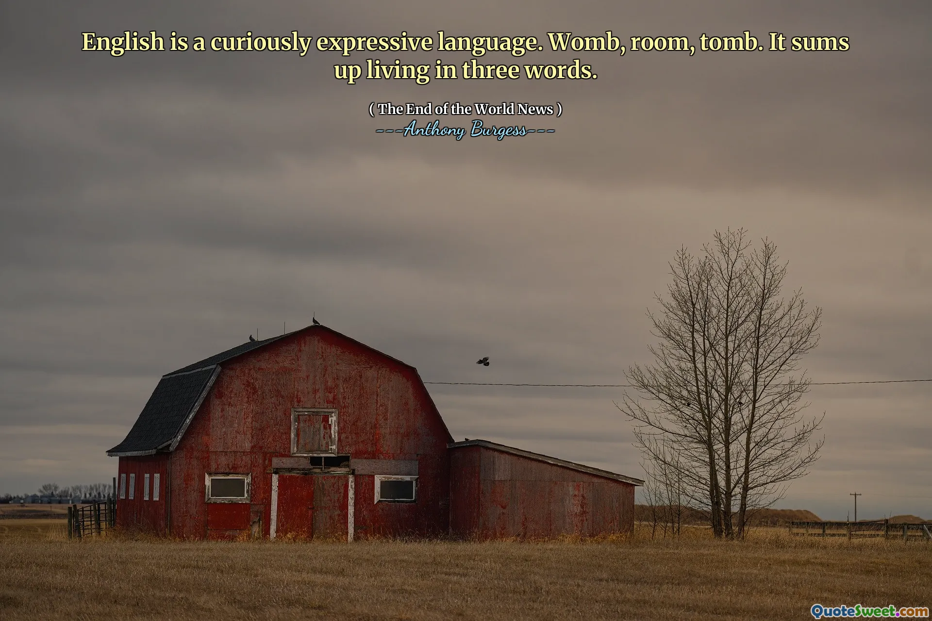 English is a curiously expressive language. Womb, room, tomb. It sums up living in three words.