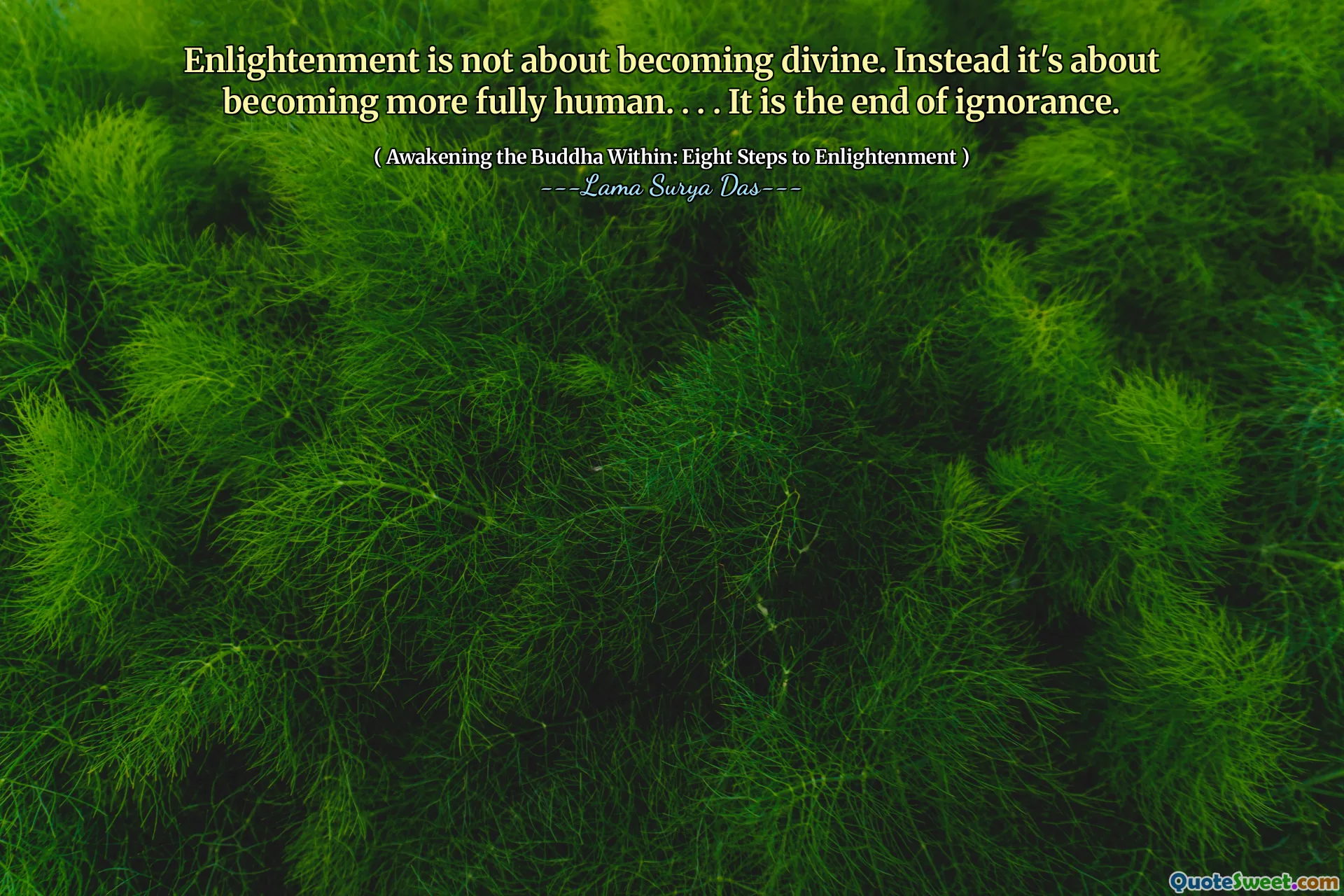 Osvícení není o tom, aby se stal božským. Místo toho jde o to, aby se stal plně lidským. . . . Je to konec nevědomosti.