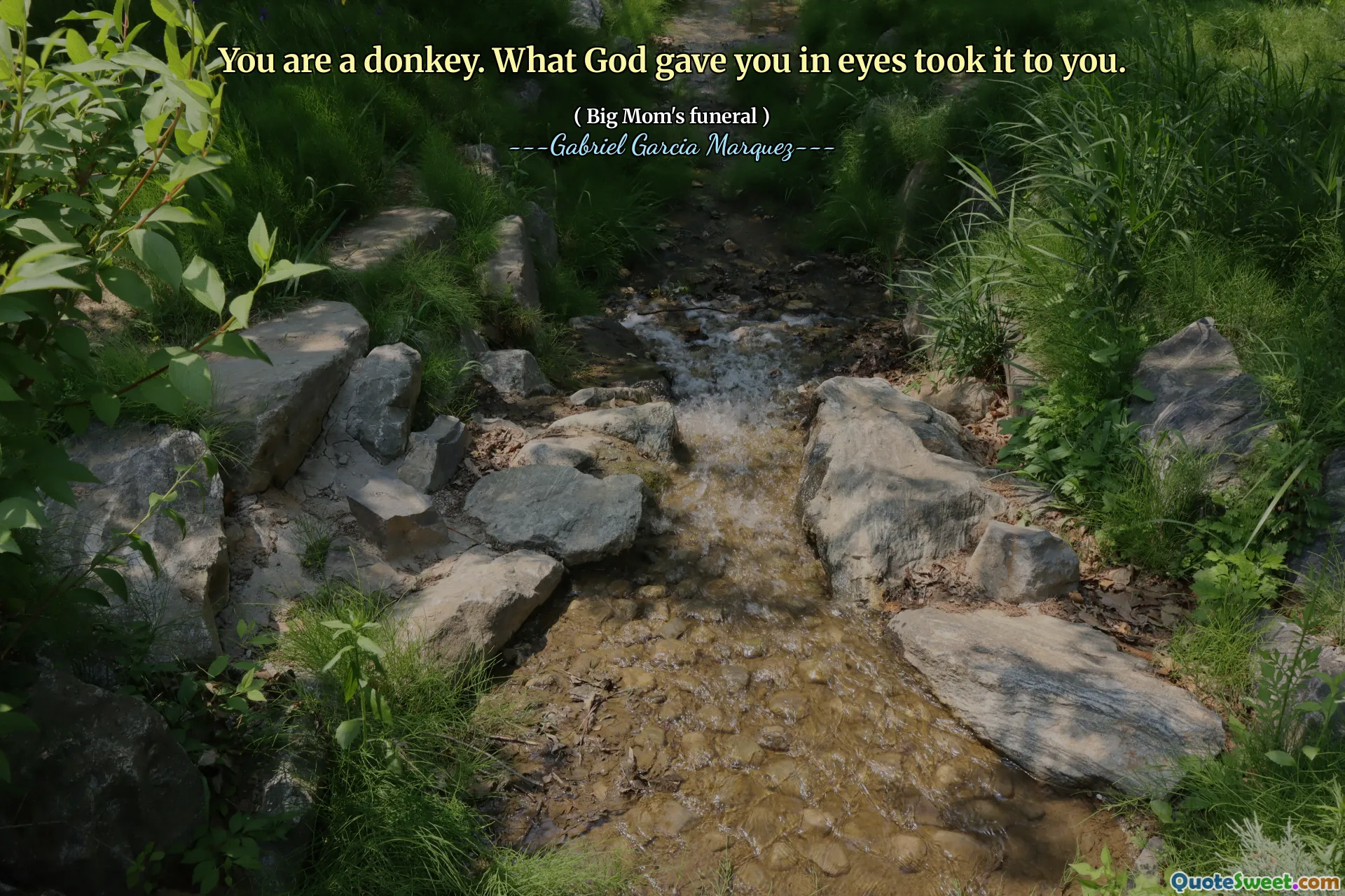 You are a donkey. What God gave you in eyes took it to you.