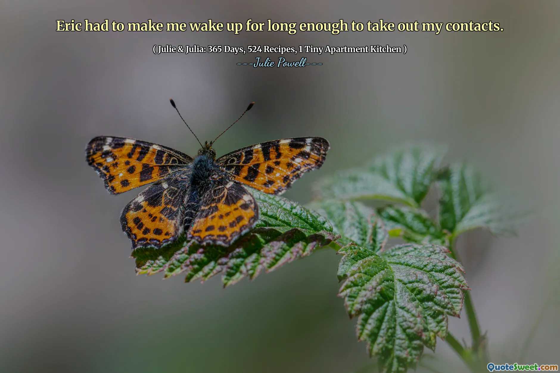 Eric had to make me wake up for long enough to take out my contacts.