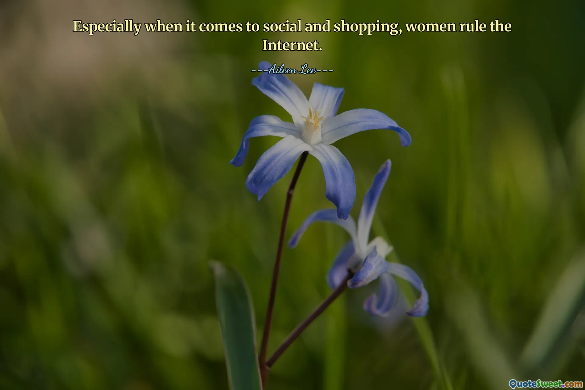 Especially when it comes to social and shopping, women rule the Internet.