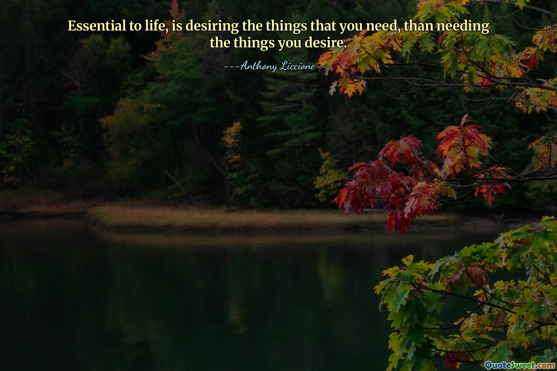 Essential to life, is desiring the things that you need, than needing the things you desire.