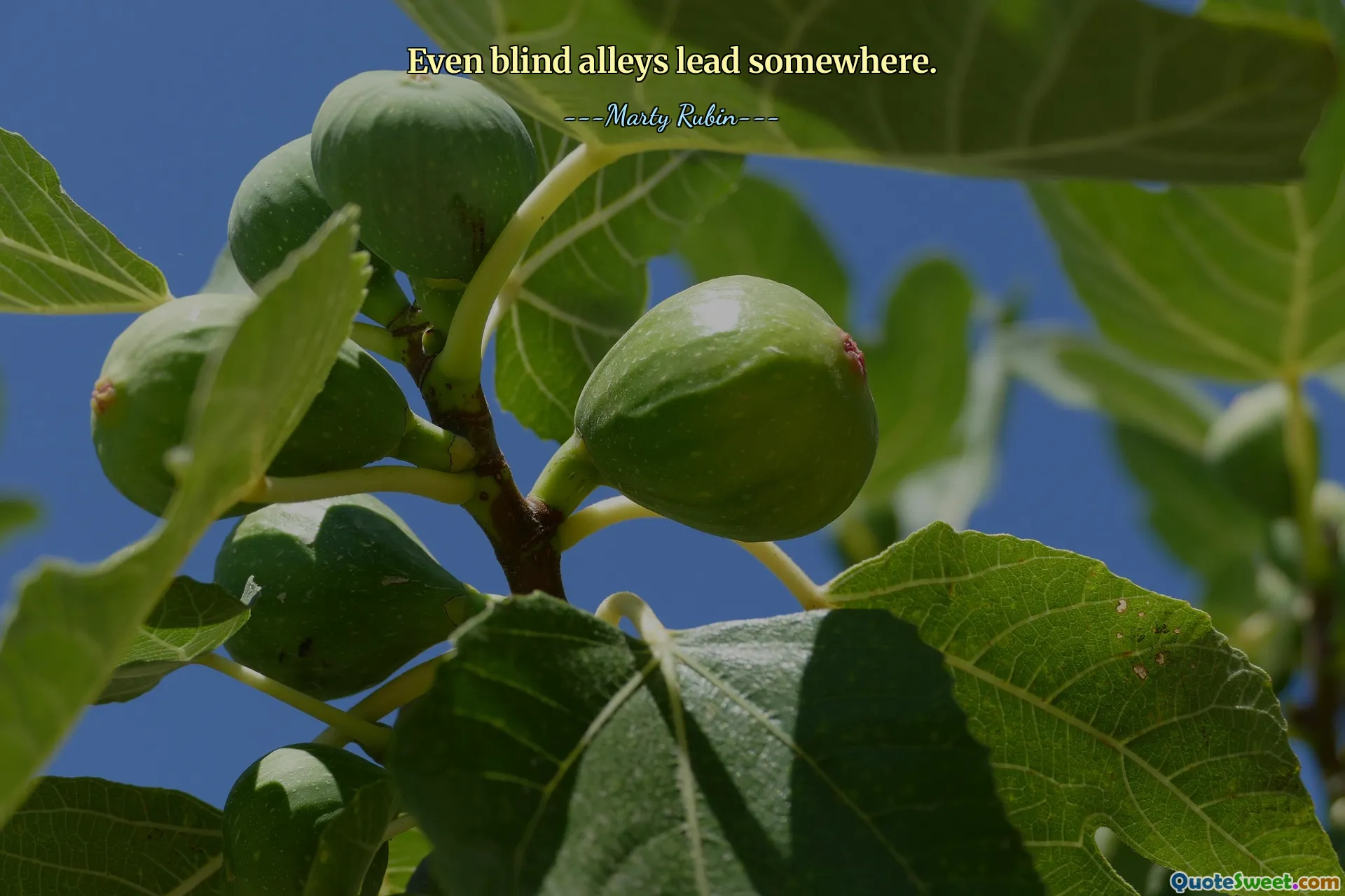 Even blind alleys lead somewhere.