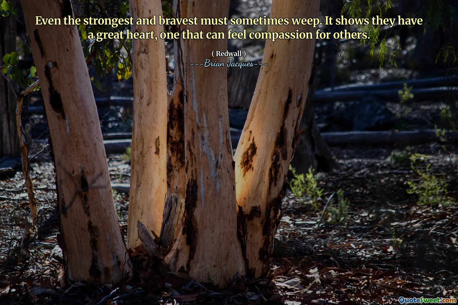 Even the strongest and bravest must sometimes weep. It shows they have a great heart, one that can feel compassion for others.