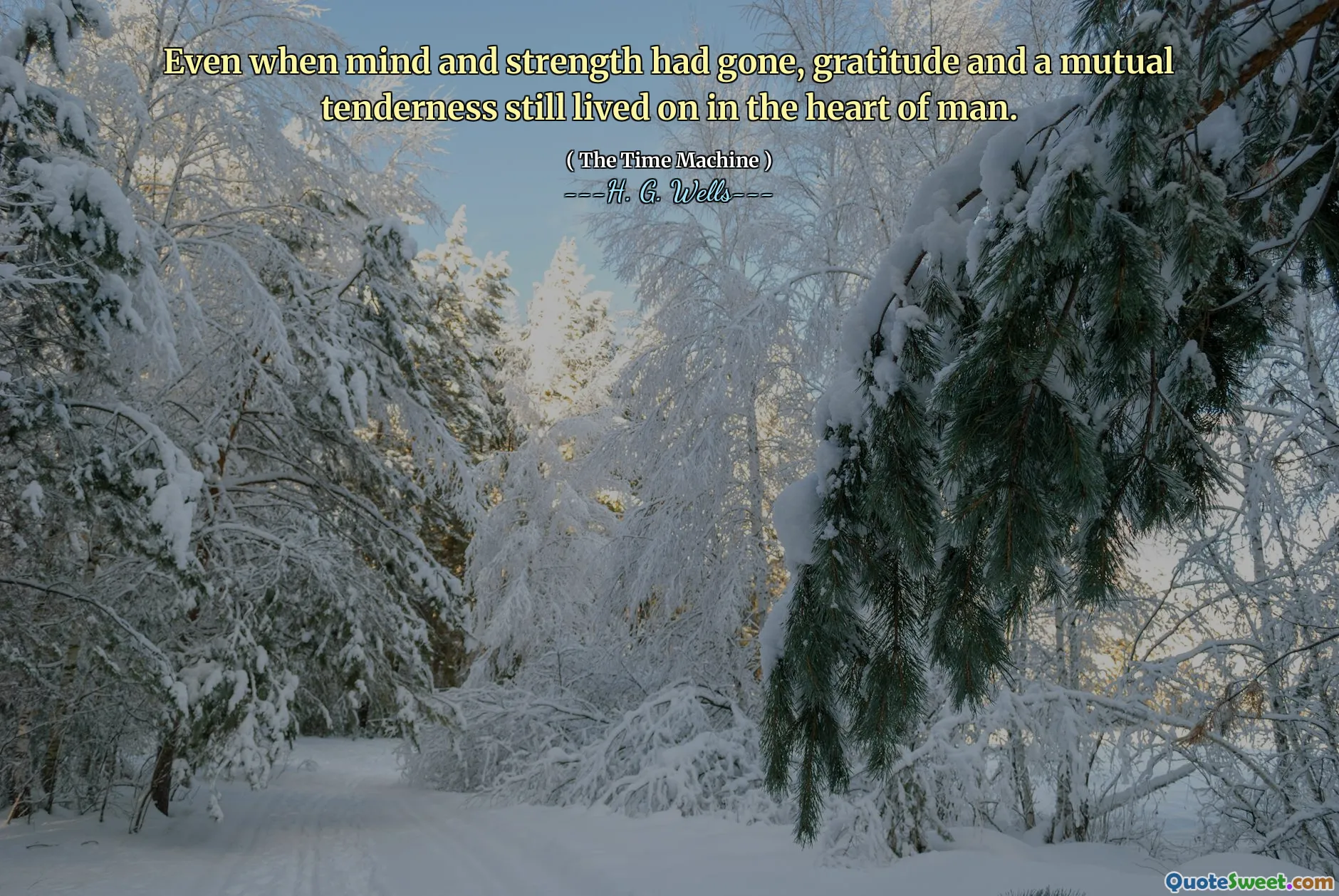 Even when mind and strength had gone, gratitude and a mutual tenderness still lived on in the heart of man.