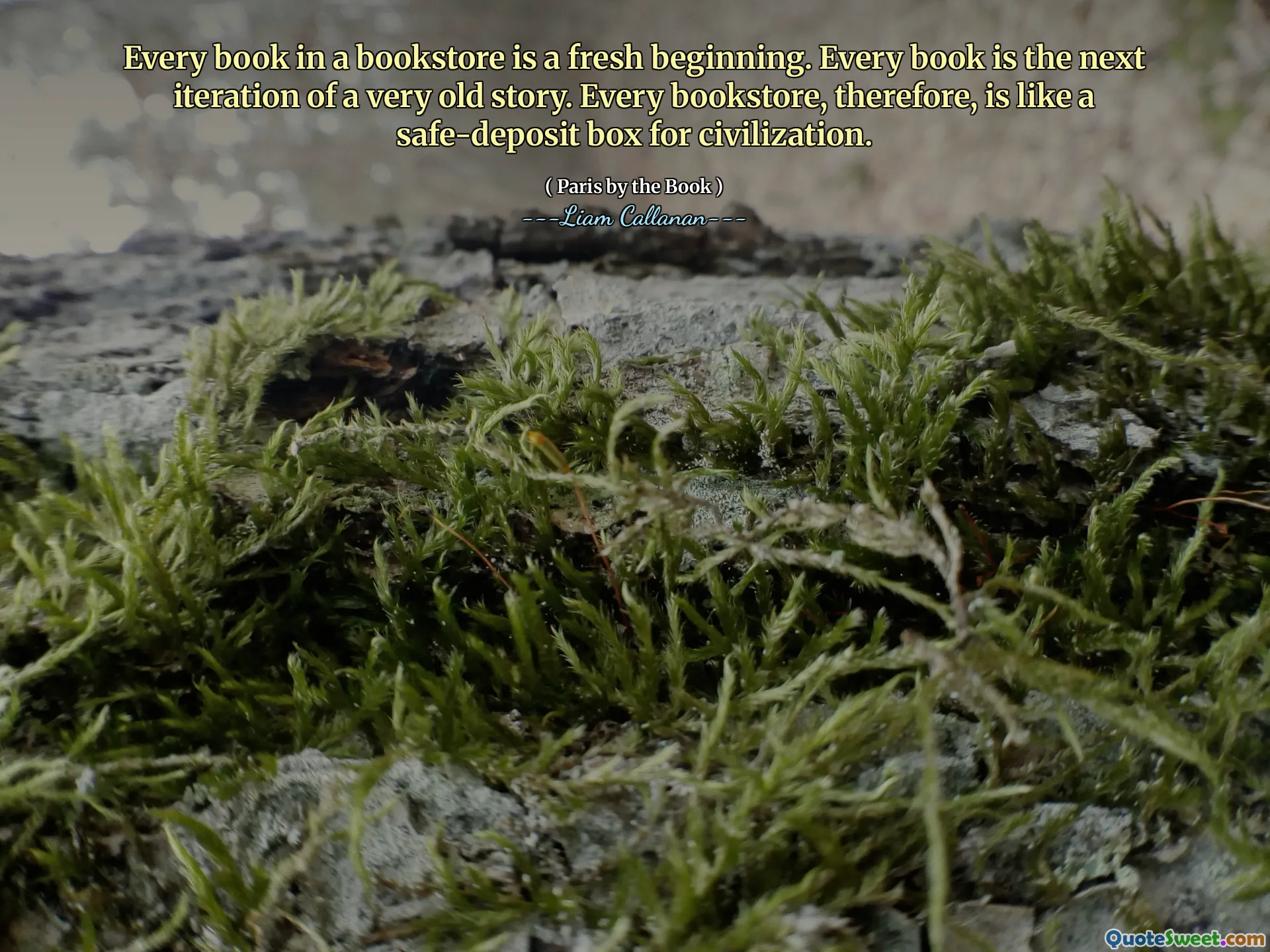 किताबों की दुकान में हर किताब एक नई शुरुआत है। प्रत्येक पुस्तक एक बहुत पुरानी कहानी की अगली पुनरावृत्ति है। इसलिए, हर किताब की दुकान सभ्यता के लिए एक सुरक्षित-जमा बॉक्स की तरह है।