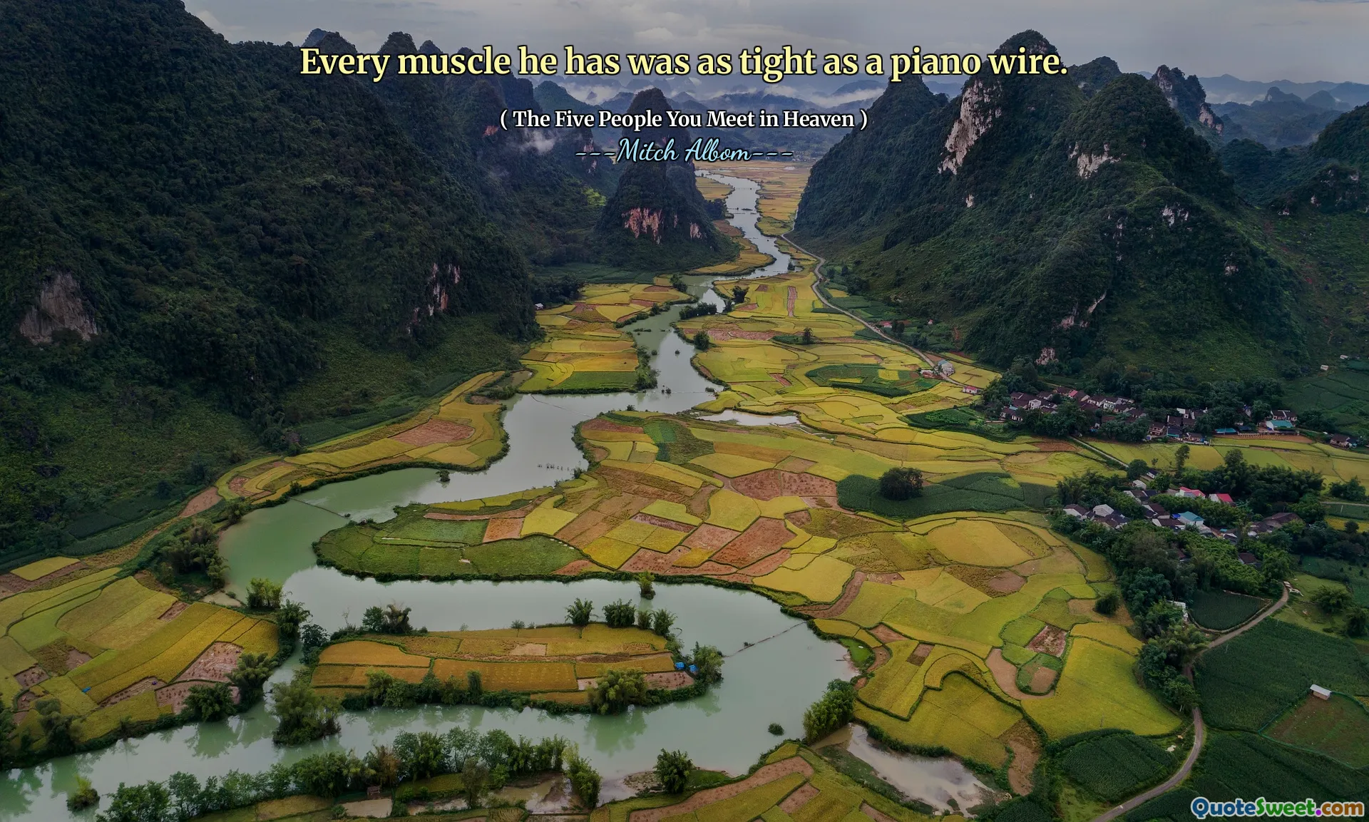 他所拥有的每一个肌肉都像钢琴线一样紧。