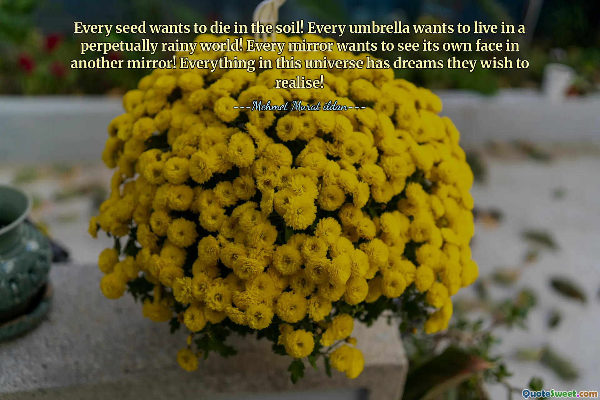 Every seed wants to die in the soil! Every umbrella wants to live in a perpetually rainy world! Every mirror wants to see its own face in another mirror! Everything in this universe has dreams they wish to realise!