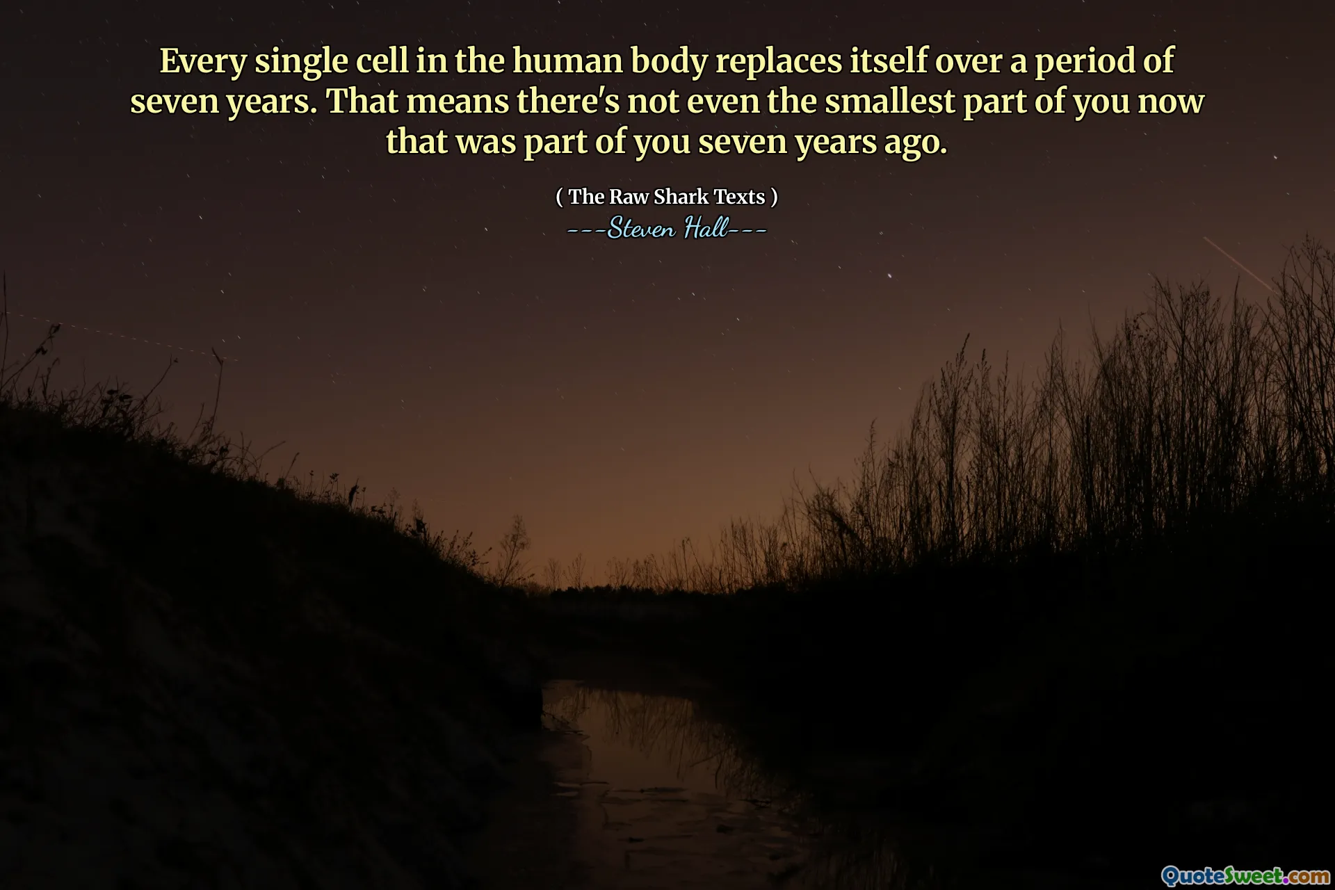 Every single cell in the human body replaces itself over a period of seven years. That means there's not even the smallest part of you now that was part of you seven years ago.