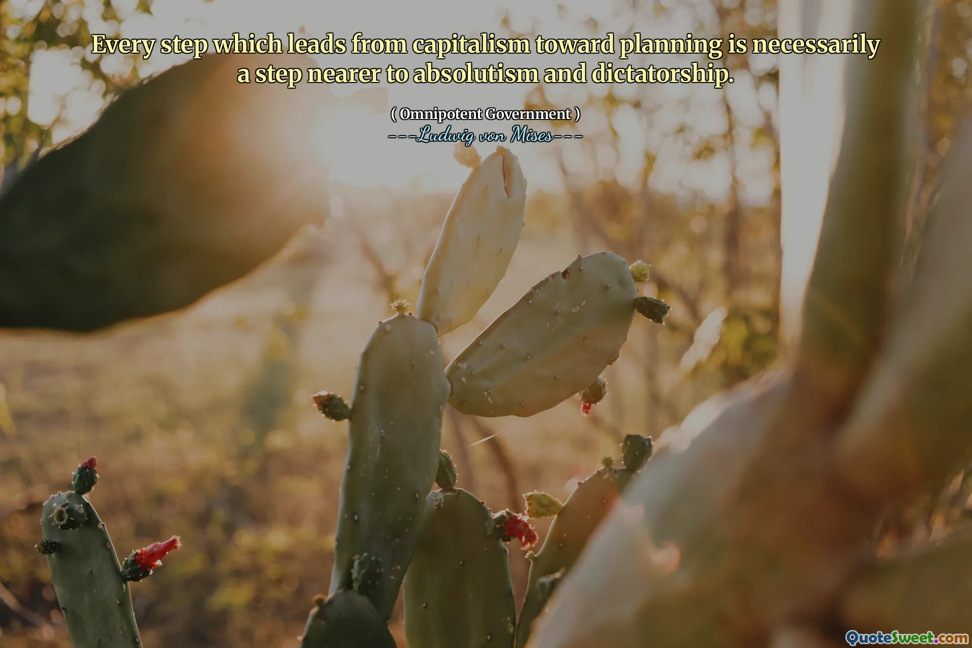 Every step which leads from capitalism toward planning is necessarily a step nearer to absolutism and dictatorship.