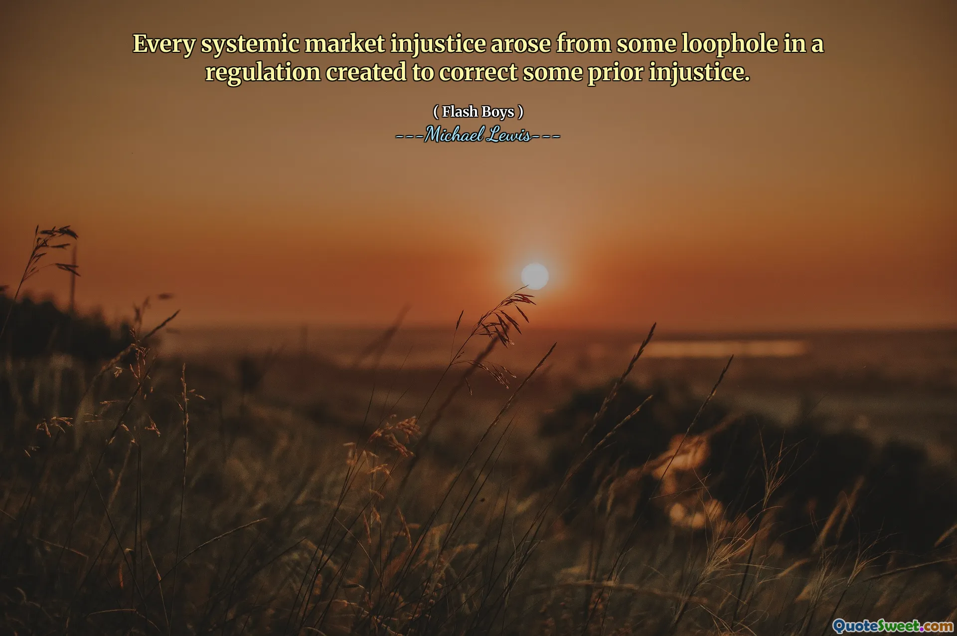 प्रत्येक प्रणालीगत बाजार अन्याय कुछ पूर्व अन्याय को ठीक करने के लिए बनाए गए विनियमन में कुछ खामियों से उत्पन्न हुआ।