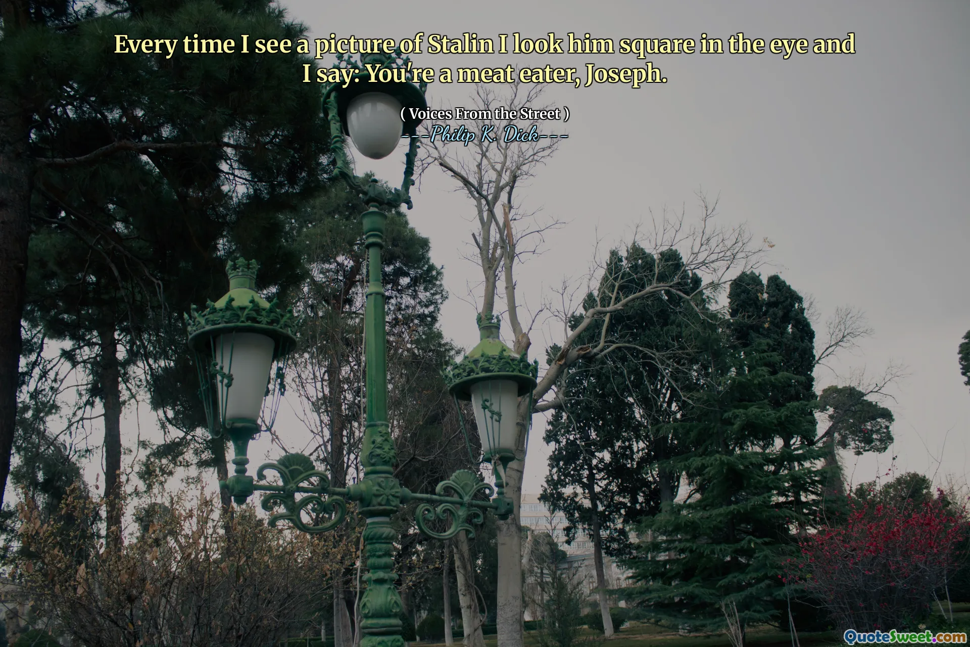 Varje gång jag ser en bild av Stalin ser jag honom fyrkantig i ögat och jag säger: Du är en köttätare, Joseph.