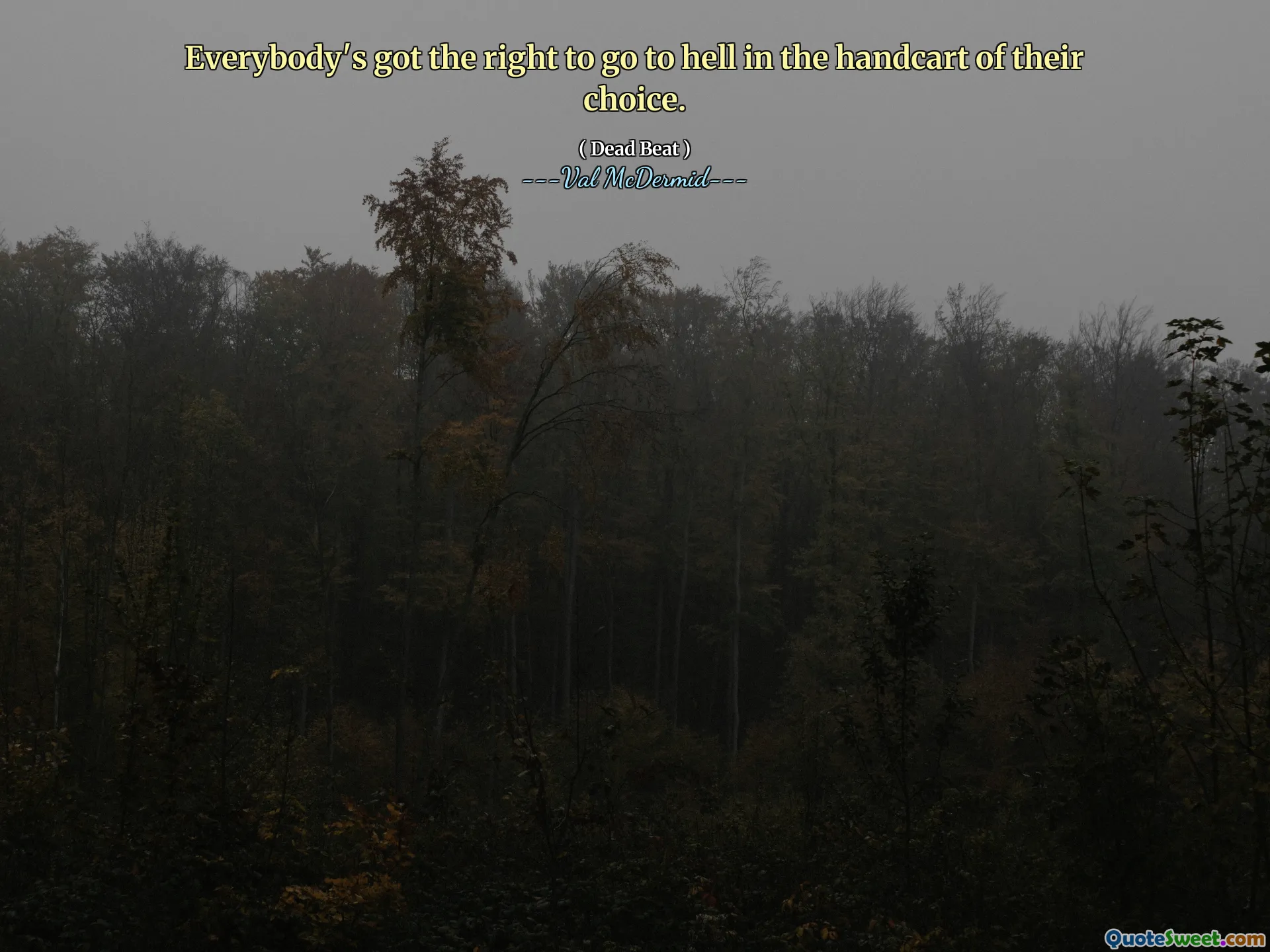 Everybody's got the right to go to hell in the handcart of their choice.