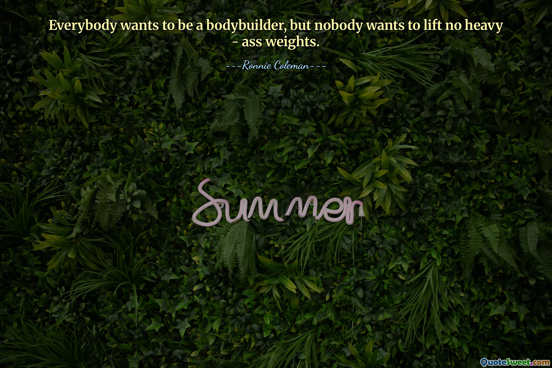 Everybody wants to be a bodybuilder, but nobody wants to lift no heavy - ass weights.