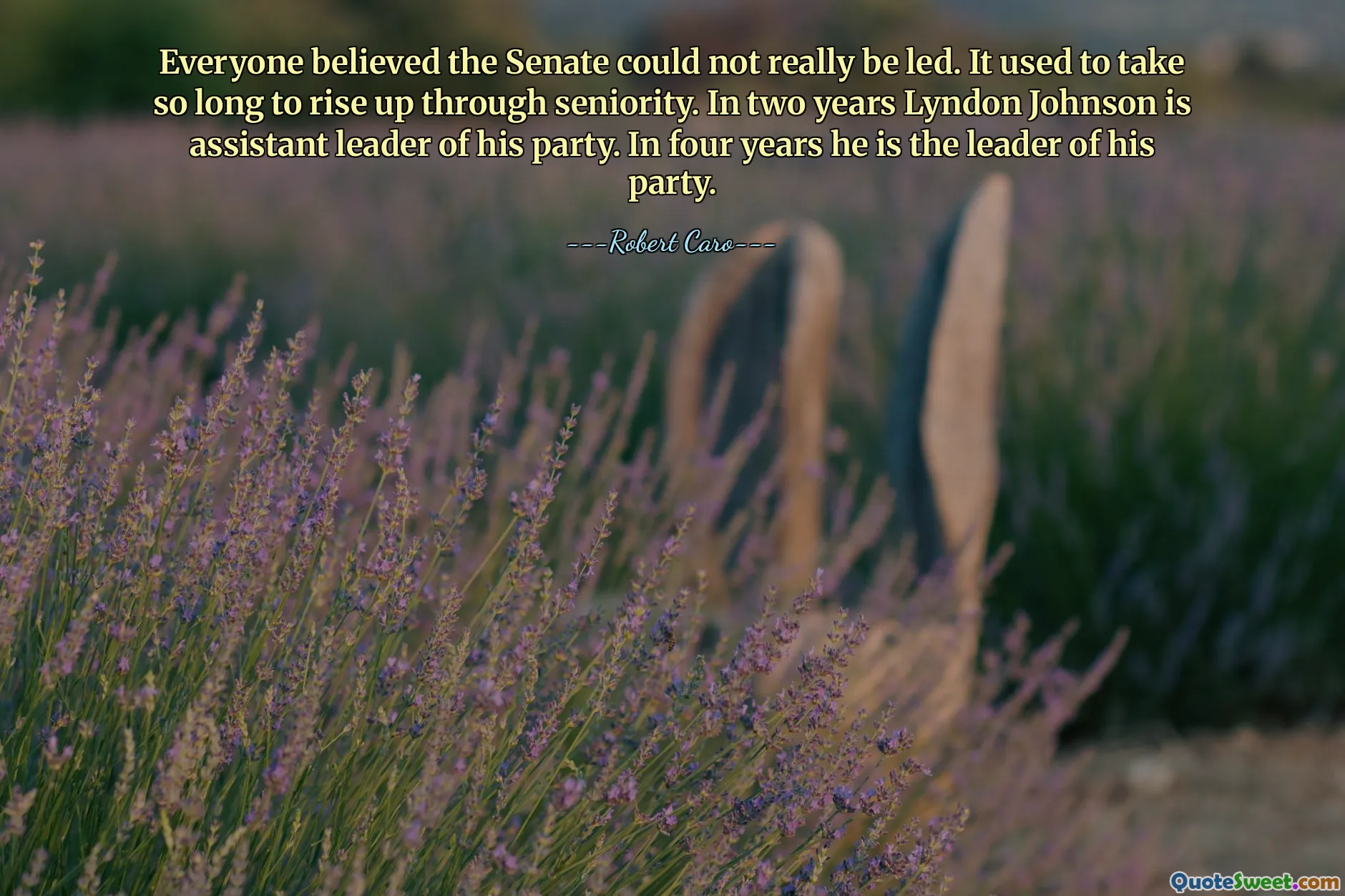 Everyone believed the Senate could not really be led. It used to take so long to rise up through seniority. In two years Lyndon Johnson is assistant leader of his party. In four years he is the leader of his party.