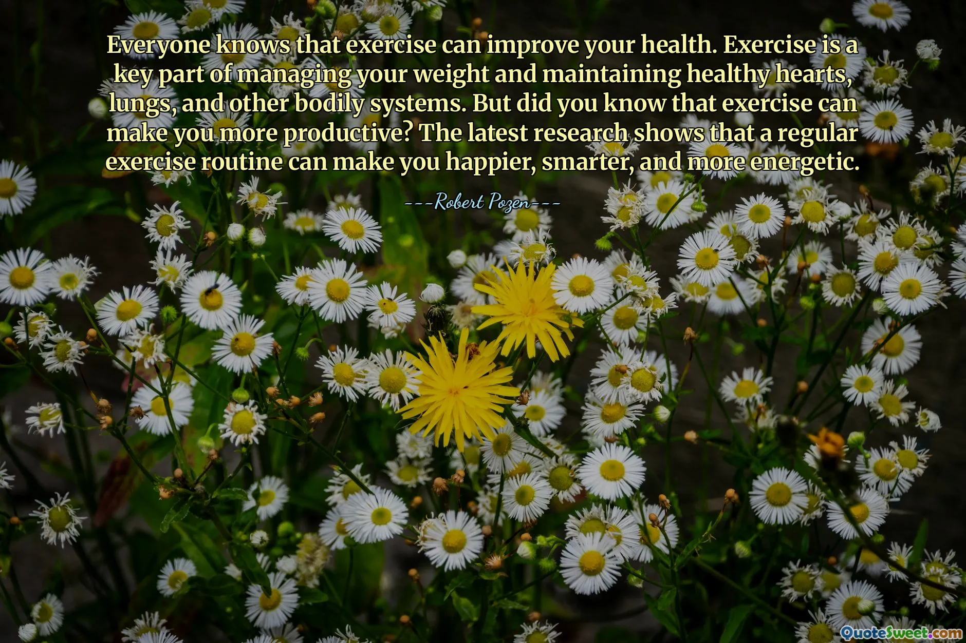 Everyone knows that exercise can improve your health. Exercise is a key part of managing your weight and maintaining healthy hearts, lungs, and other bodily systems. But did you know that exercise can make you more productive? The latest research shows that a regular exercise routine can make you happier, smarter, and more energetic.