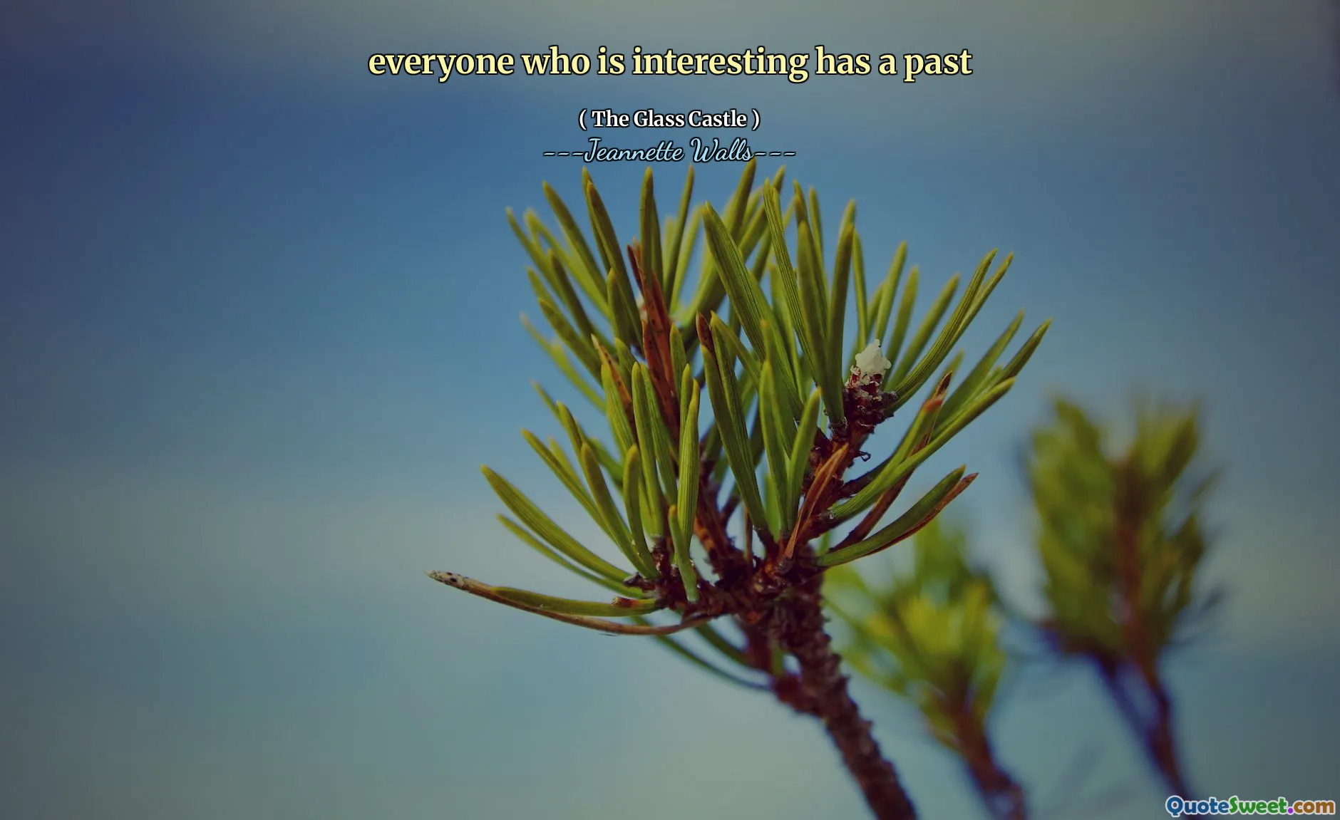 Iedereen die interessant is, heeft een verleden