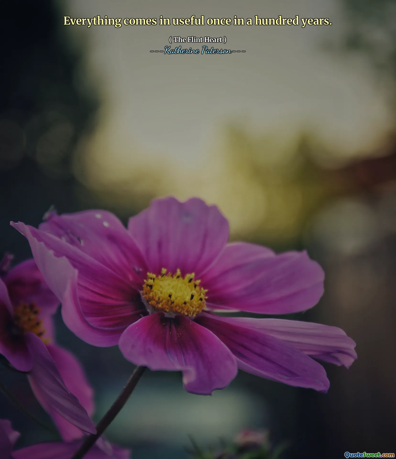 Everything comes in useful once in a hundred years.