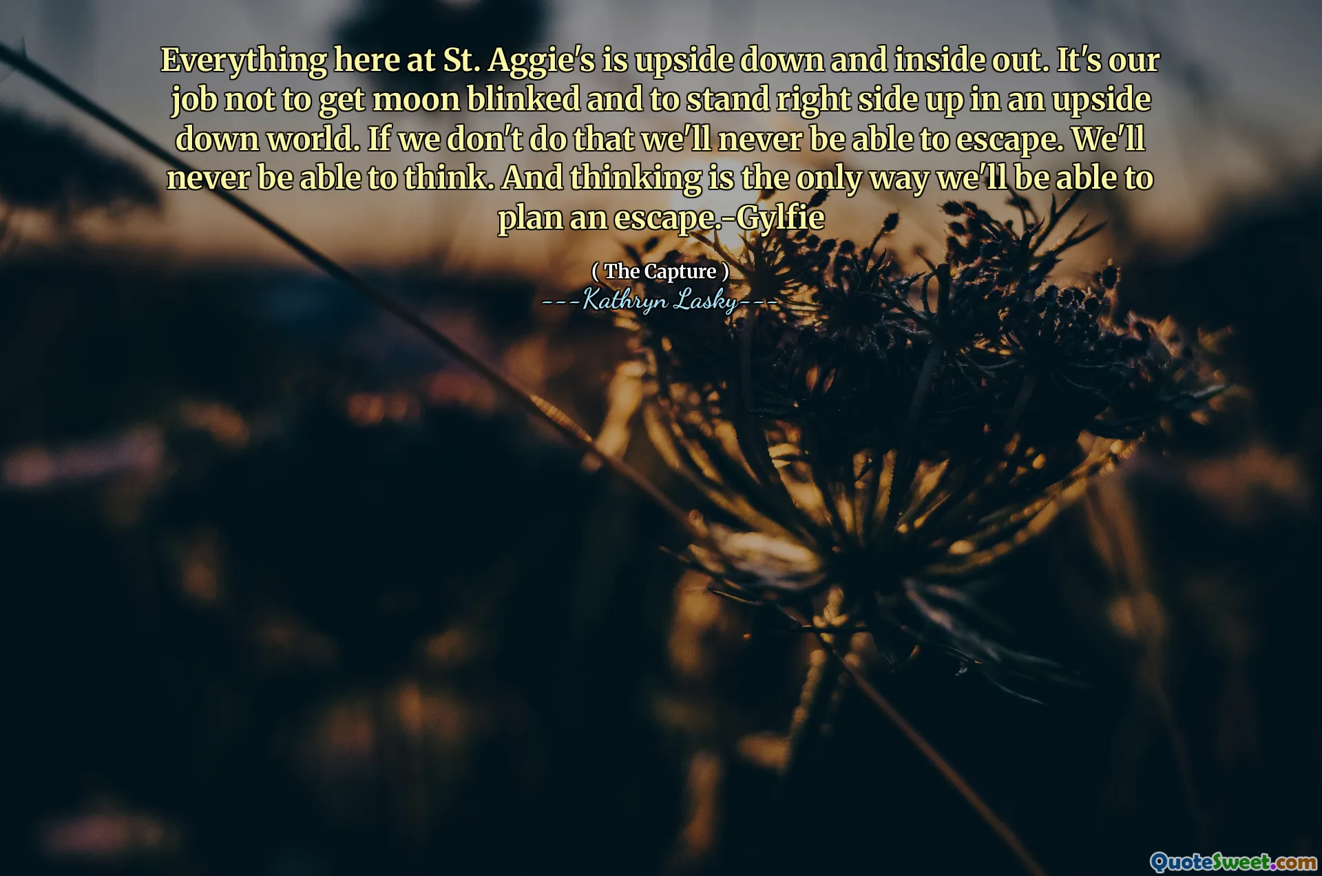 Totul aici la St. Aggie's este cu susul în jos și în interior. Este treaba noastră să nu facem luna clipită și să stăm în dreapta într -o lume cu susul în jos. Dacă nu facem asta, nu vom putea scăpa niciodată. Nu vom putea să ne gândim niciodată. Și gândirea este singurul mod în care vom putea planifica o evadare.-gylfie