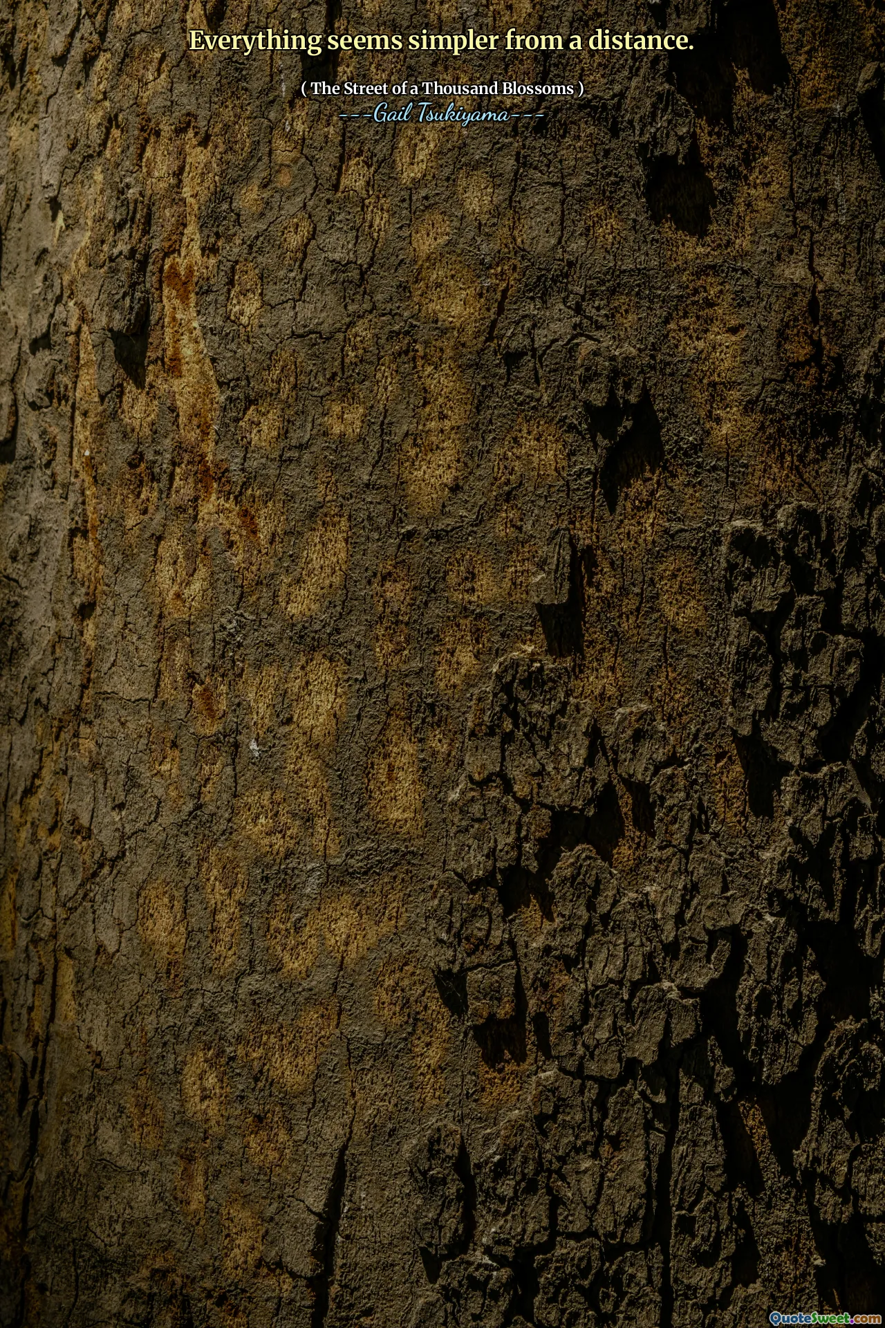 Everything seems simpler from a distance.