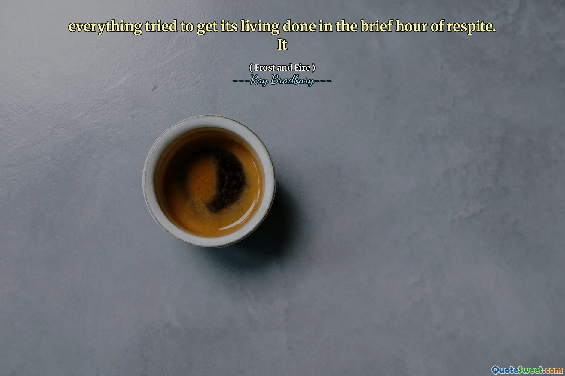 everything tried to get its living done in the brief hour of respite. It