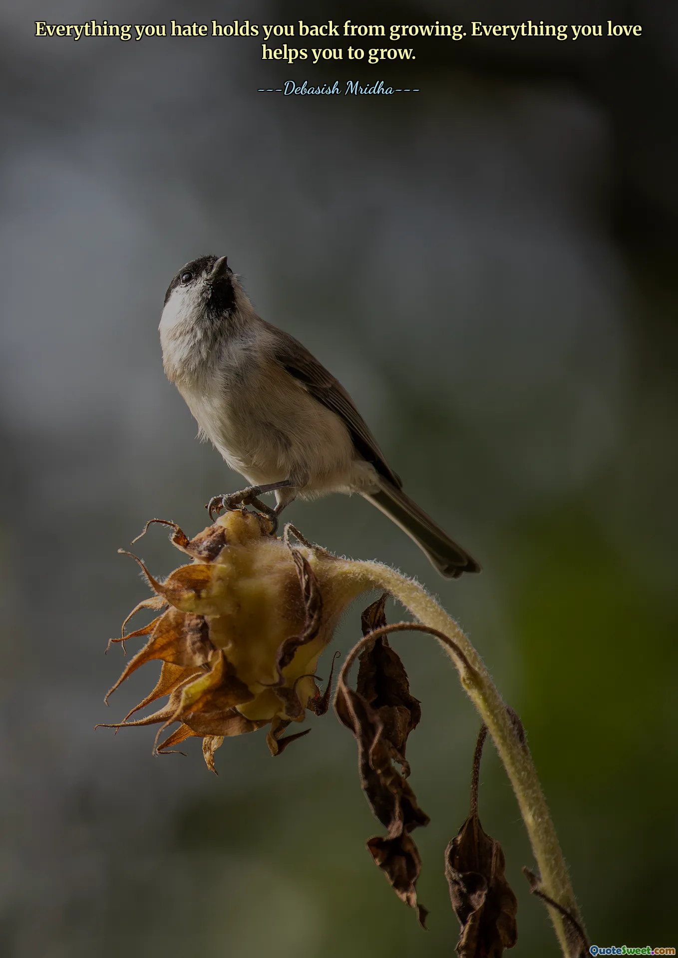 Everything you hate holds you back from growing. Everything you love helps you to grow.