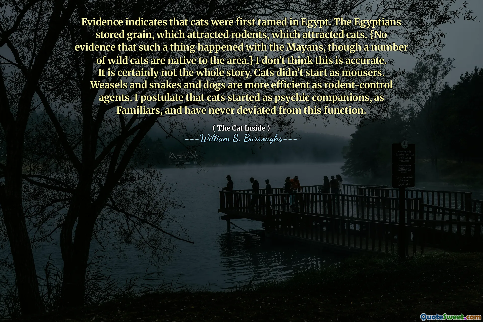 Es gibt Hinweise darauf, dass Katzen zuerst in Ägypten gezähmt wurden. Die Ägypter lagten Getreide, die Nagetiere anzog, was Katzen anzog. {Keine Beweise dafür, dass so etwas mit den Mayas passiert ist, obwohl eine Reihe wilder Katzen in der Gegend beheimatet sind.} Ich denke nicht, dass dies korrekt ist. Es ist sicherlich nicht die ganze Geschichte. Katzen fingen nicht als Mousers an. Wiesel und Schlangen und Hunde sind als Nagetierkontrollmittel effizienter. Ich postuliere, dass Katzen als psychische Begleiter, als Vertraute begonnen haben, und haben nie von dieser Funktion abgewichen.