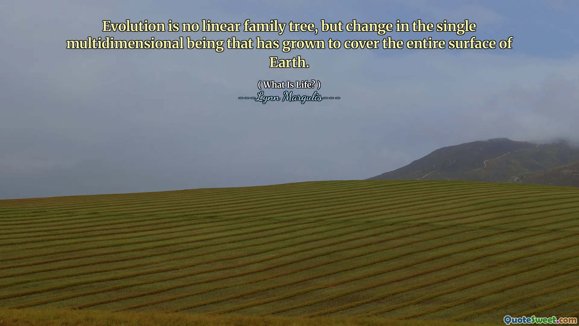 Evolution is no linear family tree, but change in the single multidimensional being that has grown to cover the entire surface of Earth.