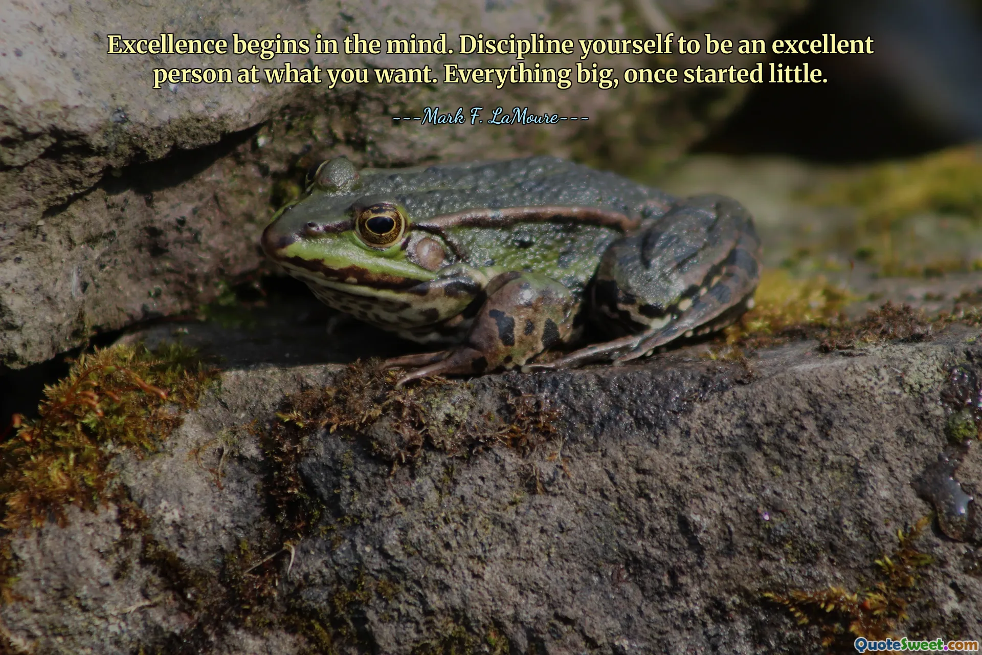 Excellence begins in the mind. Discipline yourself to be an excellent person at what you want. Everything big, once started little.