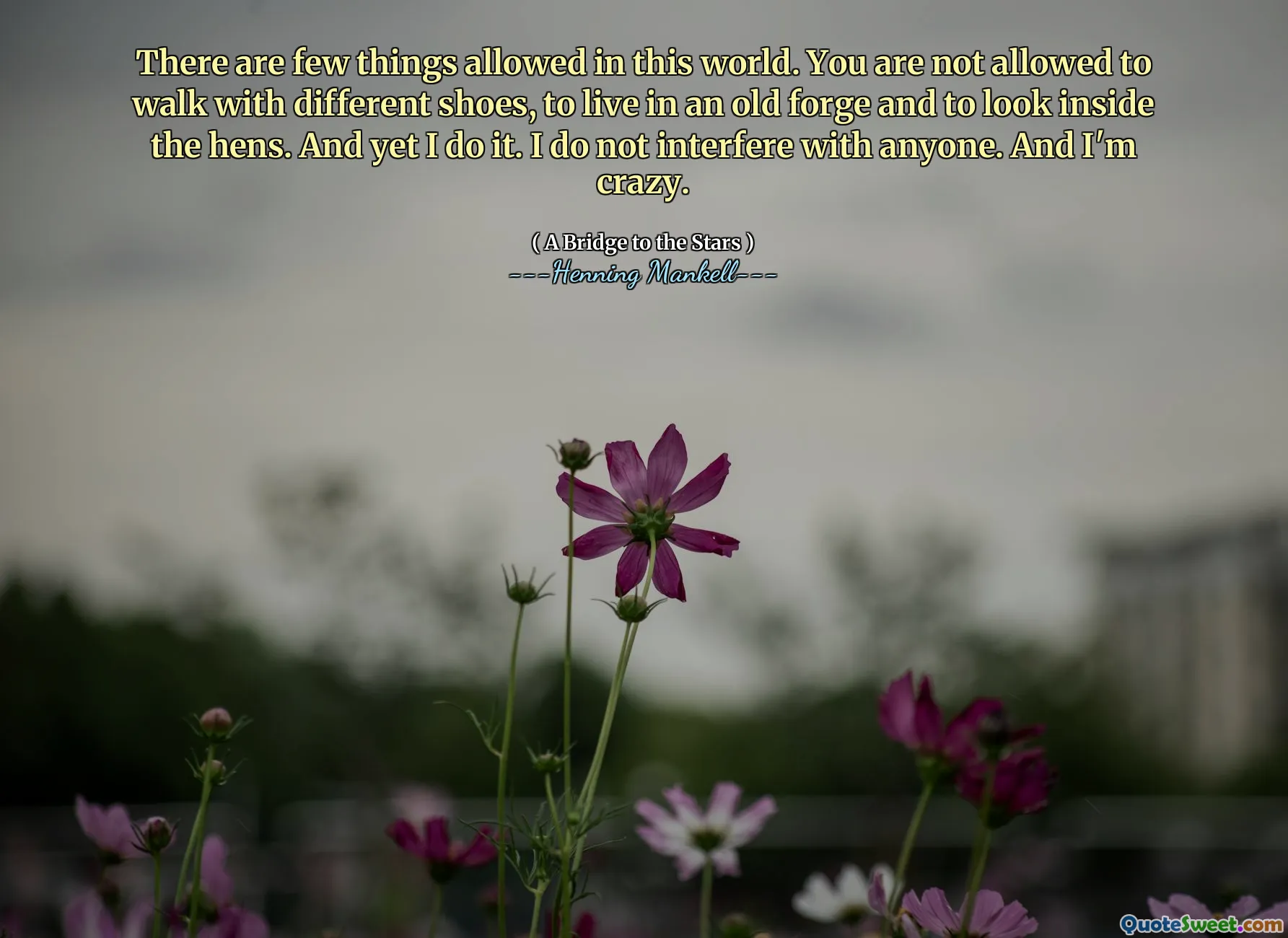 There are few things allowed in this world. You are not allowed to walk with different shoes, to live in an old forge and to look inside the hens. And yet I do it. I do not interfere with anyone. And I'm crazy.
