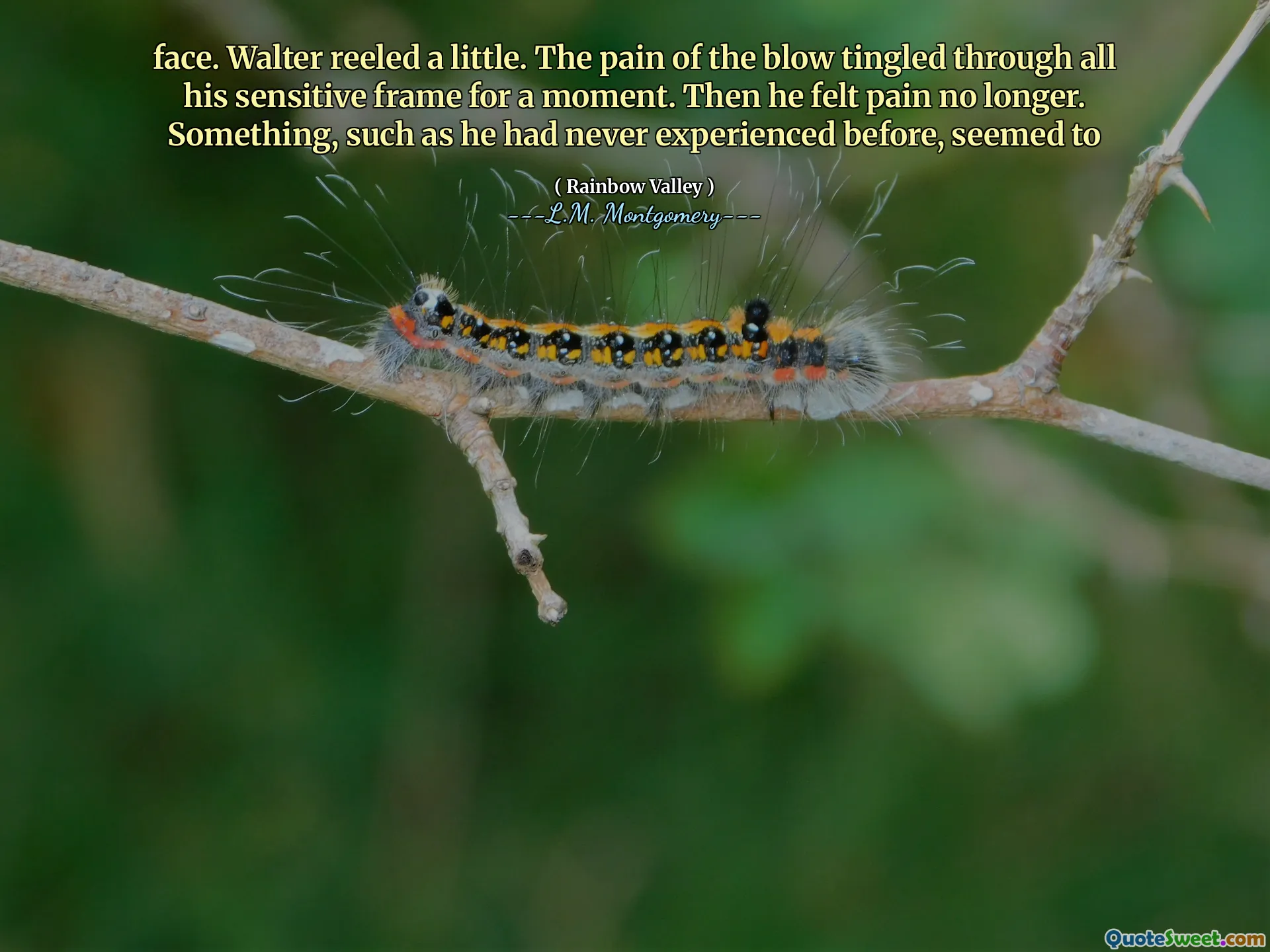 face. Walter reeled a little. The pain of the blow tingled through all his sensitive frame for a moment. Then he felt pain no longer. Something, such as he had never experienced before, seemed to