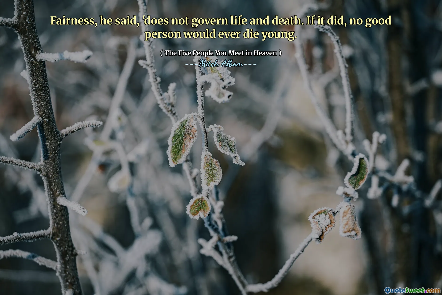 Fairness, he said, 'does not govern life and death. If it did, no good person would ever die young.