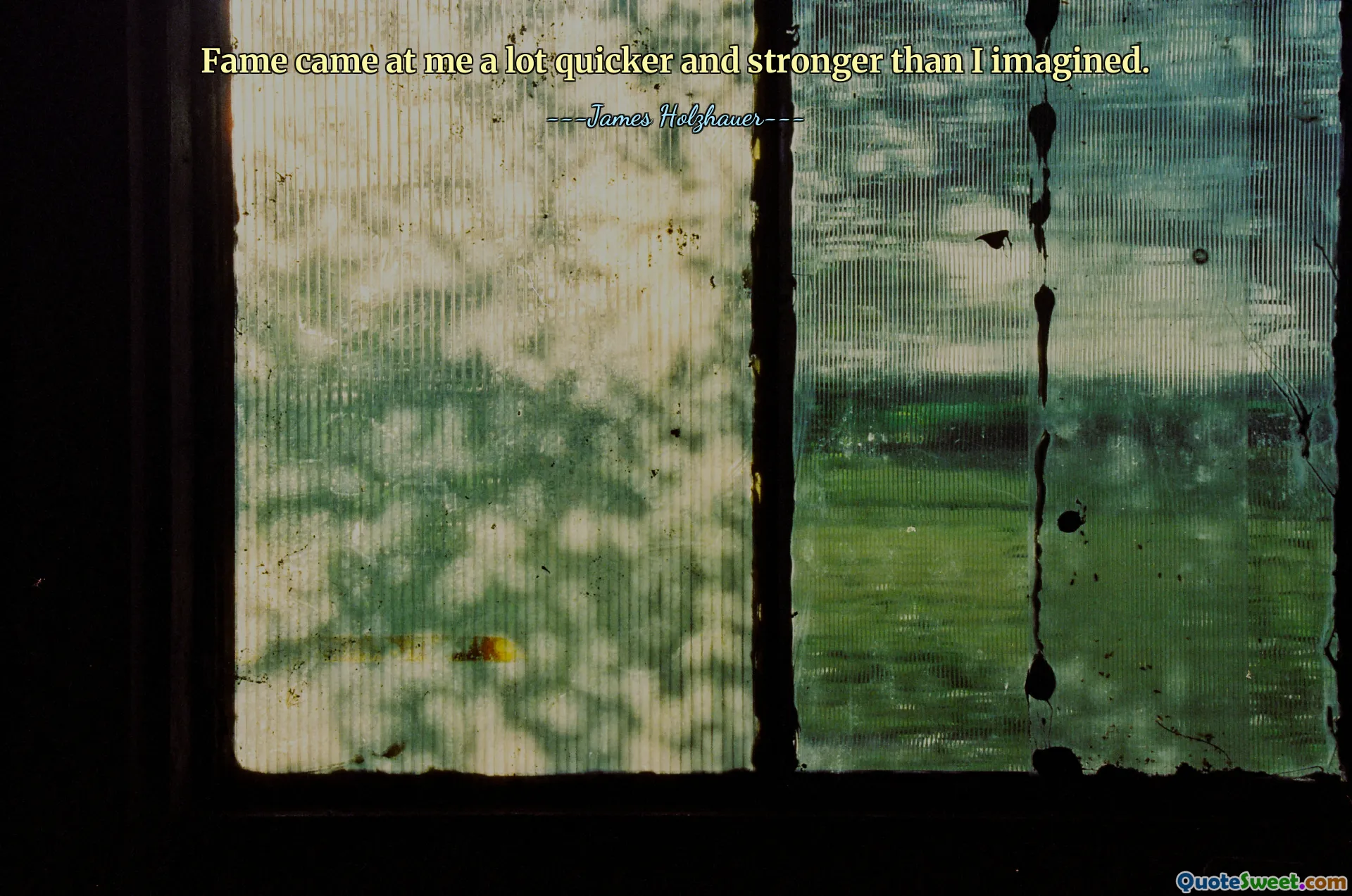 Fame came at me a lot quicker and stronger than I imagined.