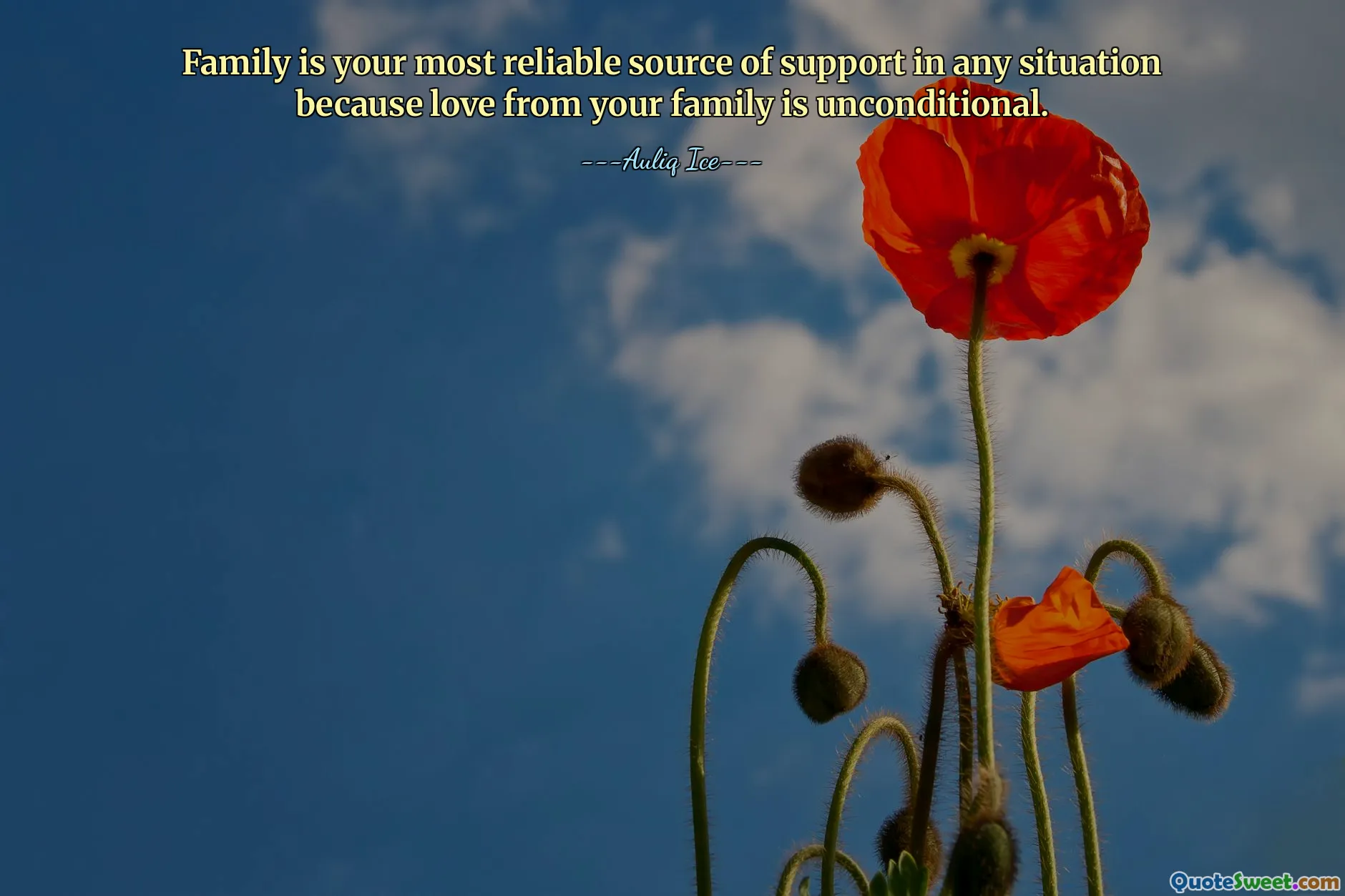 Family is your most reliable source of support in any situation because love from your family is unconditional.