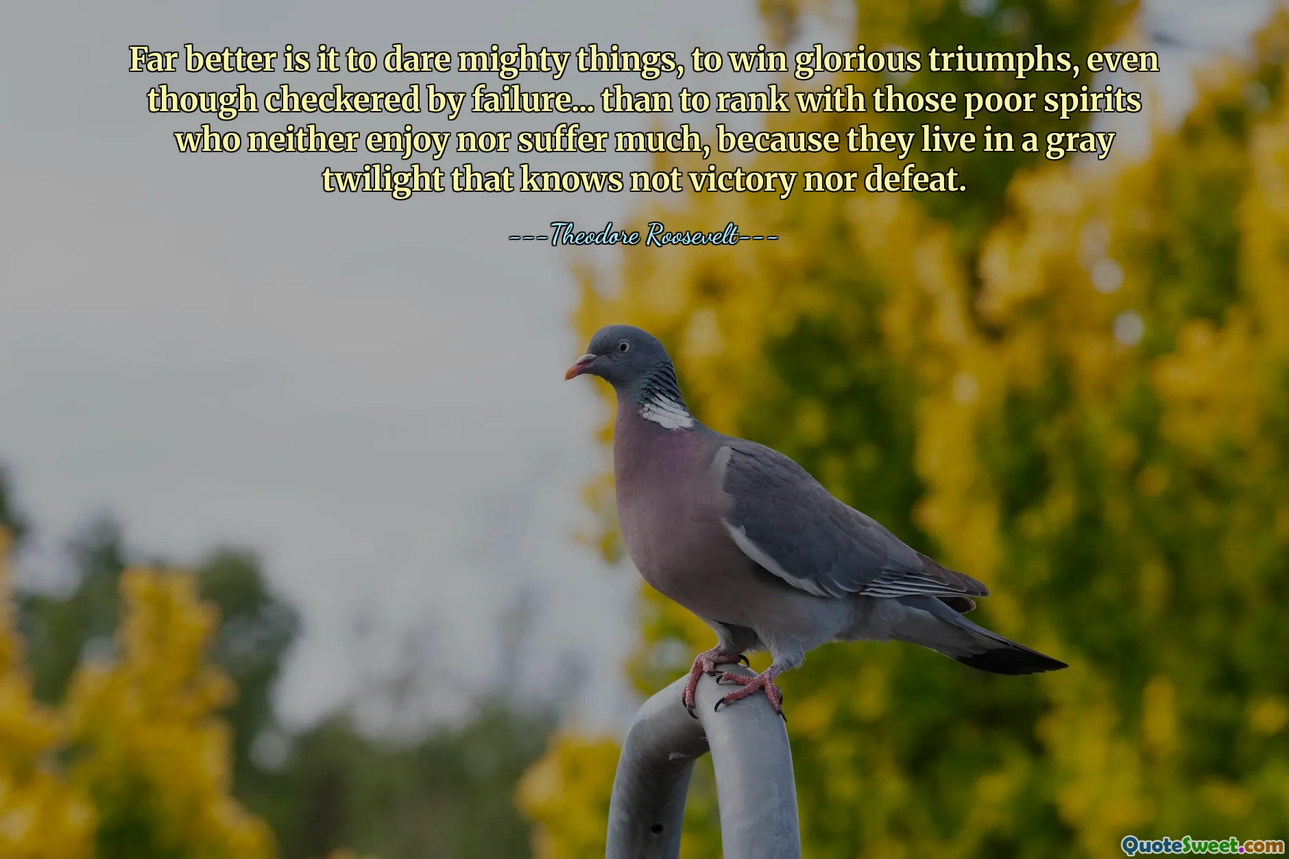 Far better is it to dare mighty things, to win glorious triumphs, even though checkered by failure... than to rank with those poor spirits who neither enjoy nor suffer much, because they live in a gray twilight that knows not victory nor defeat.