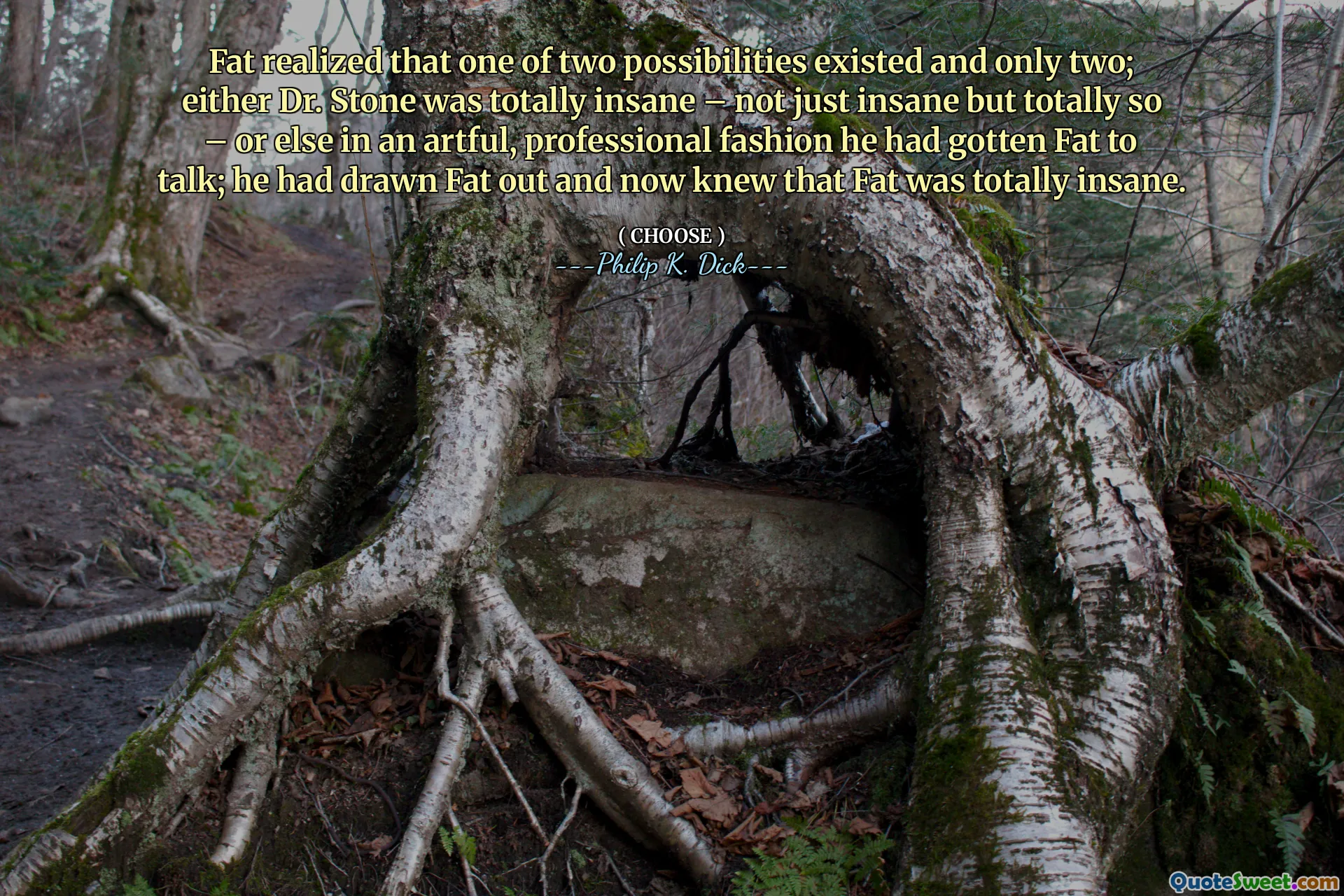 Chất béo nhận ra rằng một trong hai khả năng tồn tại và chỉ có hai khả năng; Hoặc là Tiến sĩ Stone hoàn toàn điên rồ - không chỉ là điên rồ mà hoàn toàn như vậy - hoặc nếu không trong một thời trang nghệ thuật, chuyên nghiệp mà anh ta đã nhận được chất béo để nói chuyện; Anh ta đã rút chất béo ra và bây giờ biết rằng chất béo hoàn toàn điên rồ.
