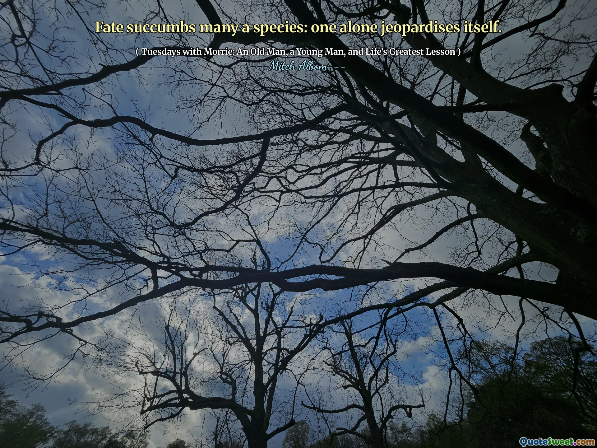 命运屈服了许多物种：一个人只会危害自己。