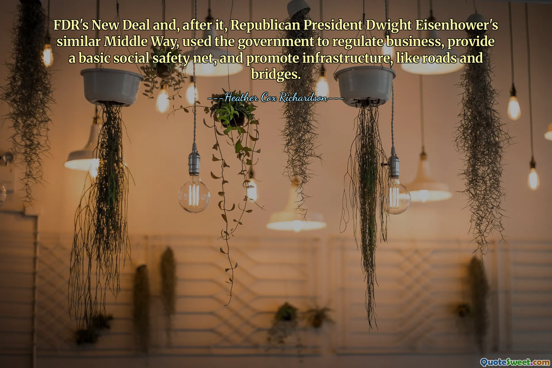 FDR's New Deal and, after it, Republican President Dwight Eisenhower's similar Middle Way, used the government to regulate business, provide a basic social safety net, and promote infrastructure, like roads and bridges.