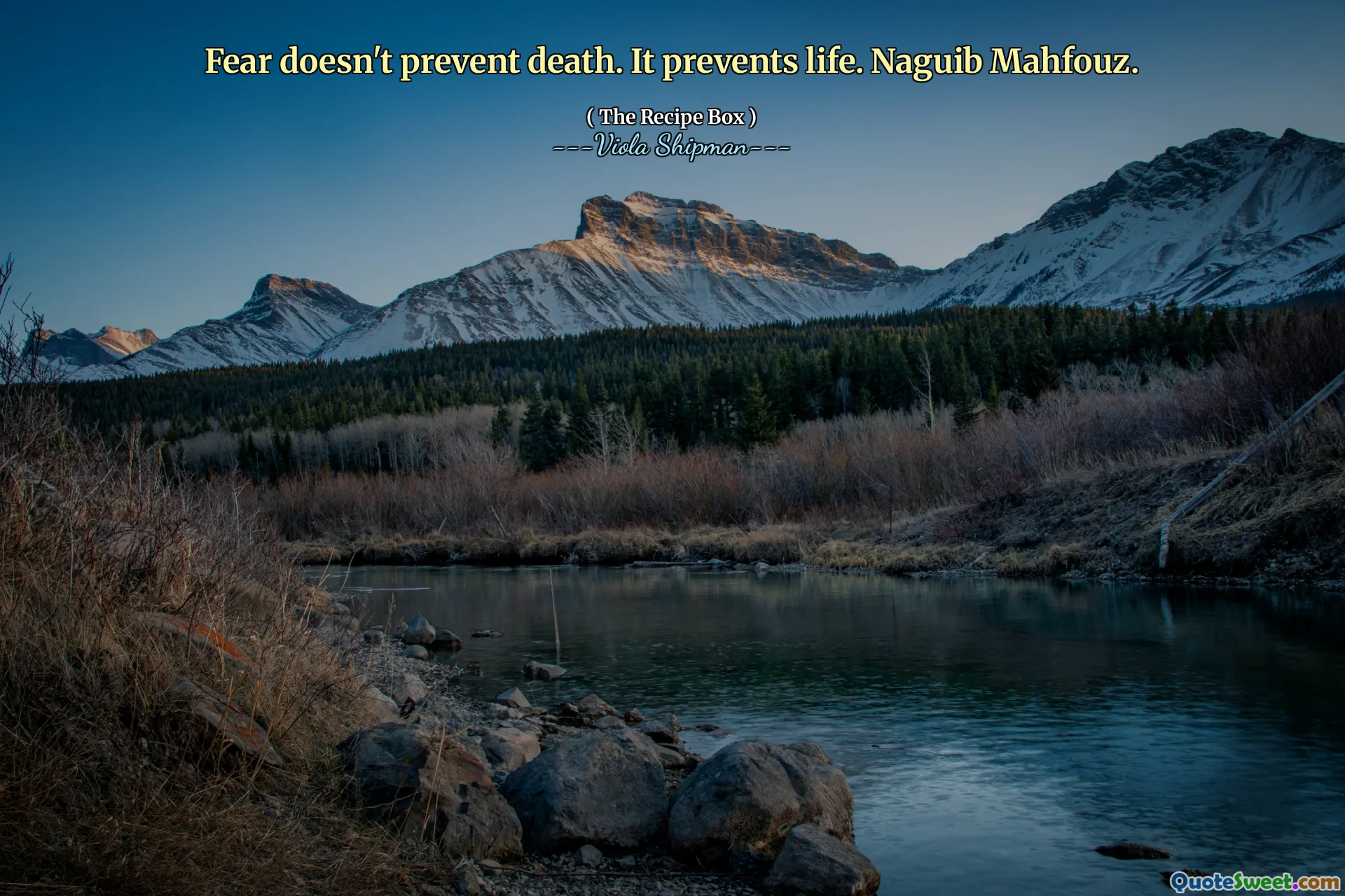 恐惧不会阻止死亡。它可以防止生命。 Naguib Mahfouz。