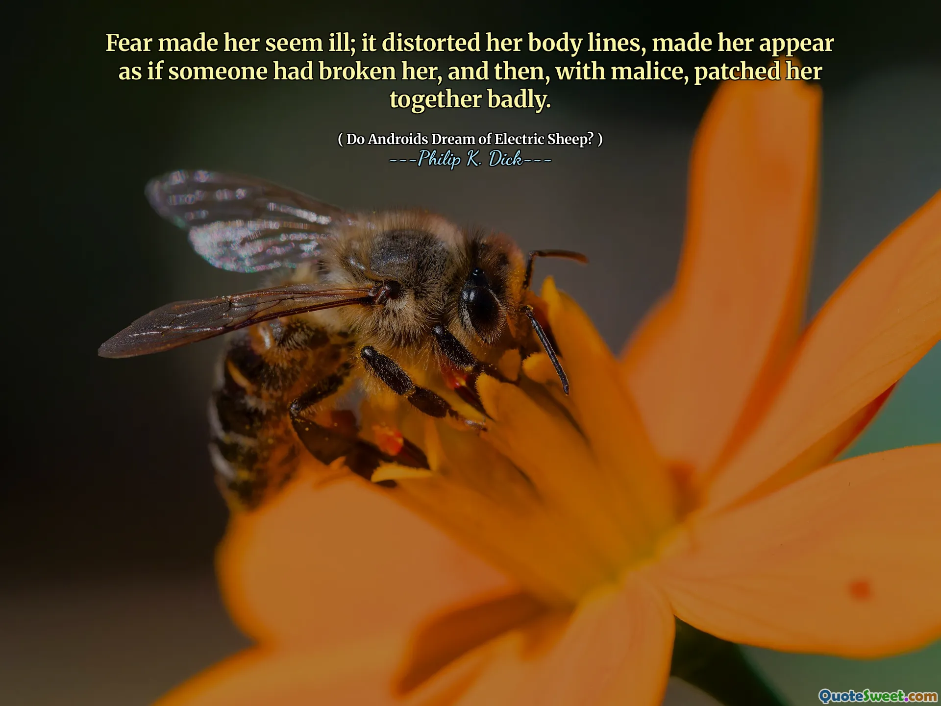 Страх заставил ее казаться больной; Это искажало ее линии тела, заставило ее казаться, как будто кто -то сломал ее, а затем, со злом, плохо залажены ее вместе.