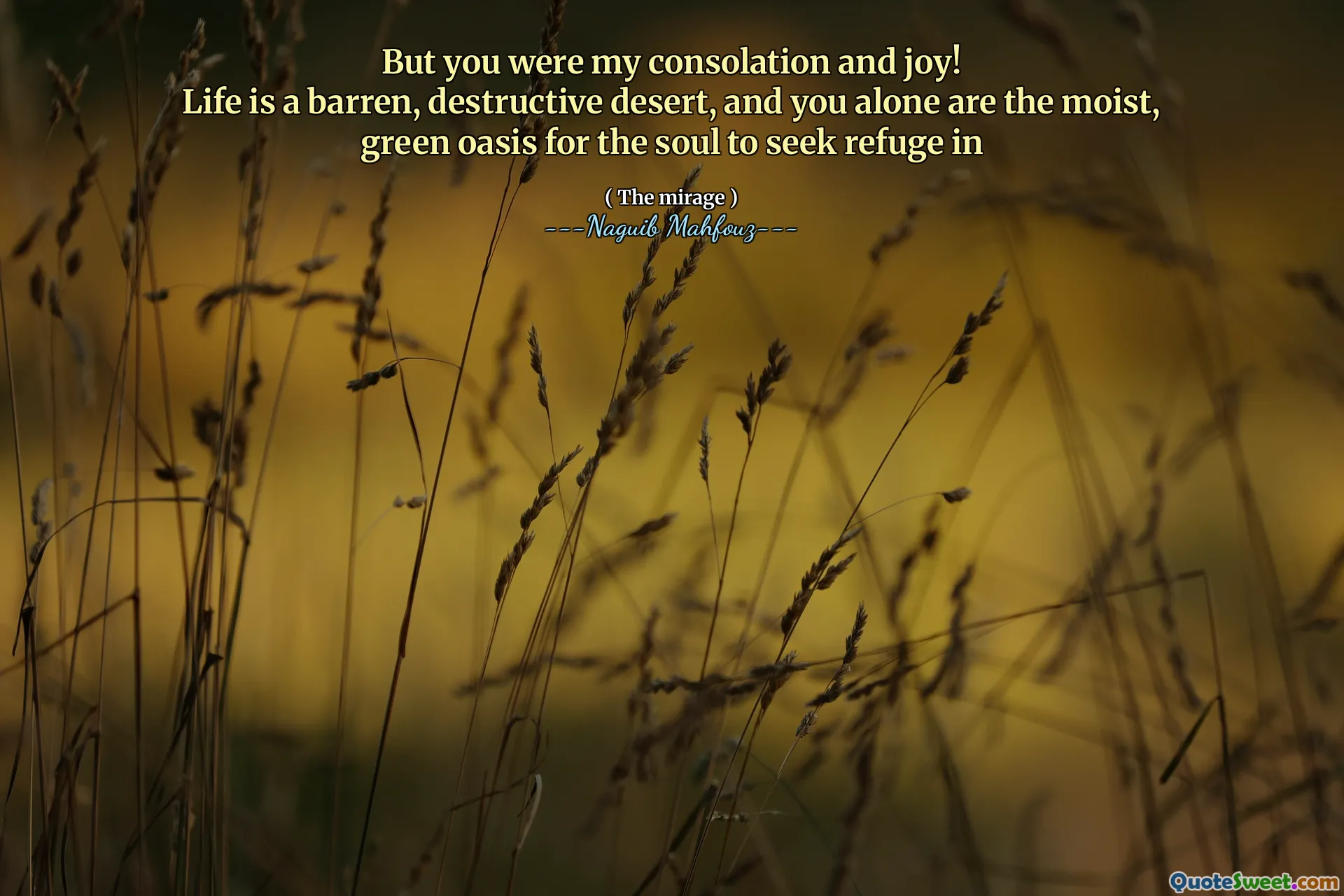 لكنك كنت عزاء وفرحتي!
الحياة هي صحراء قاحلة ومدمرة ، وأنت وحدك هي الواحة الخضراء الرطبة للروح للطلب