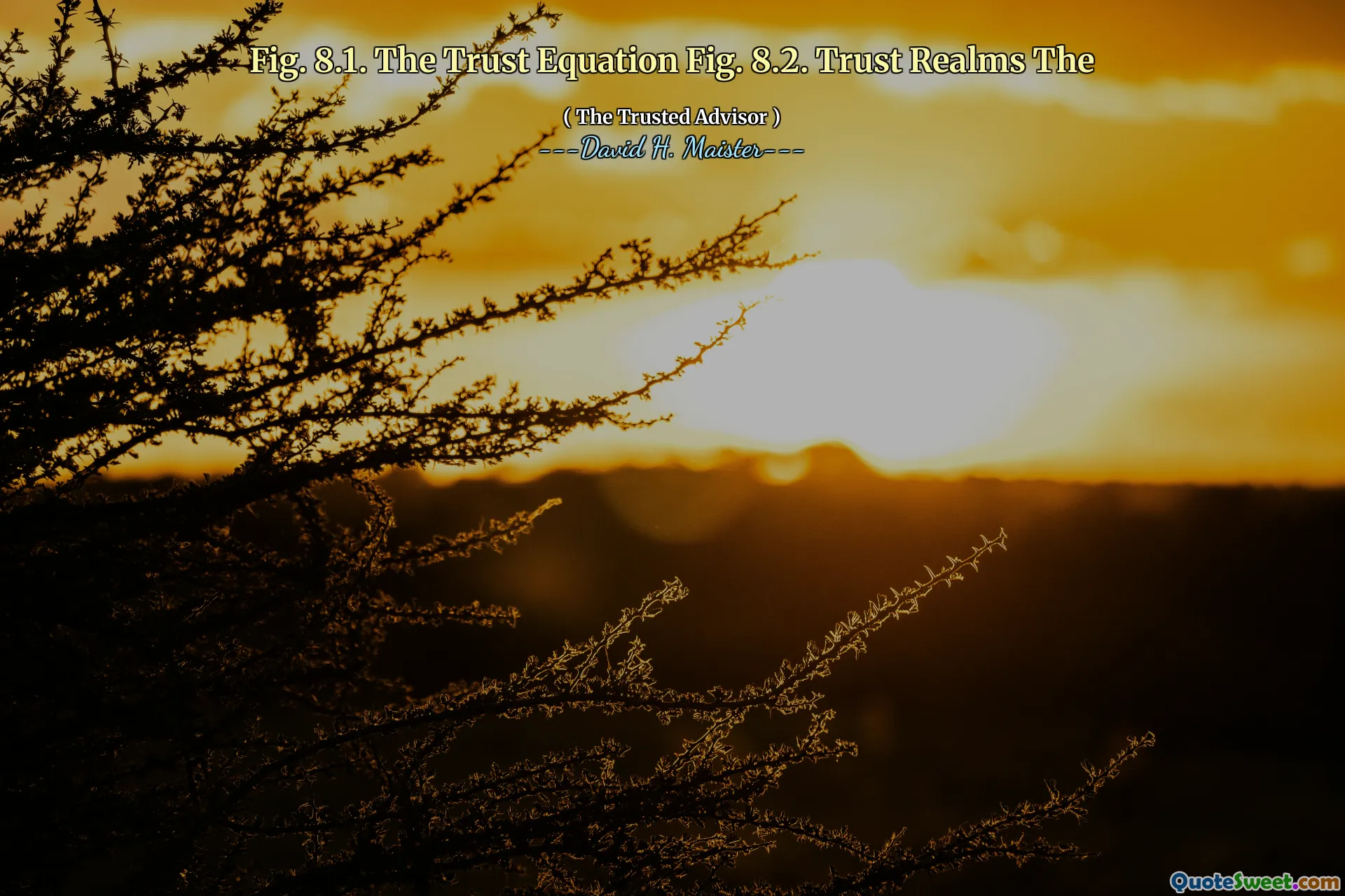 Hình 8.1. Phương trình ủy thác Hình 8.2. Tin tưởng cõi