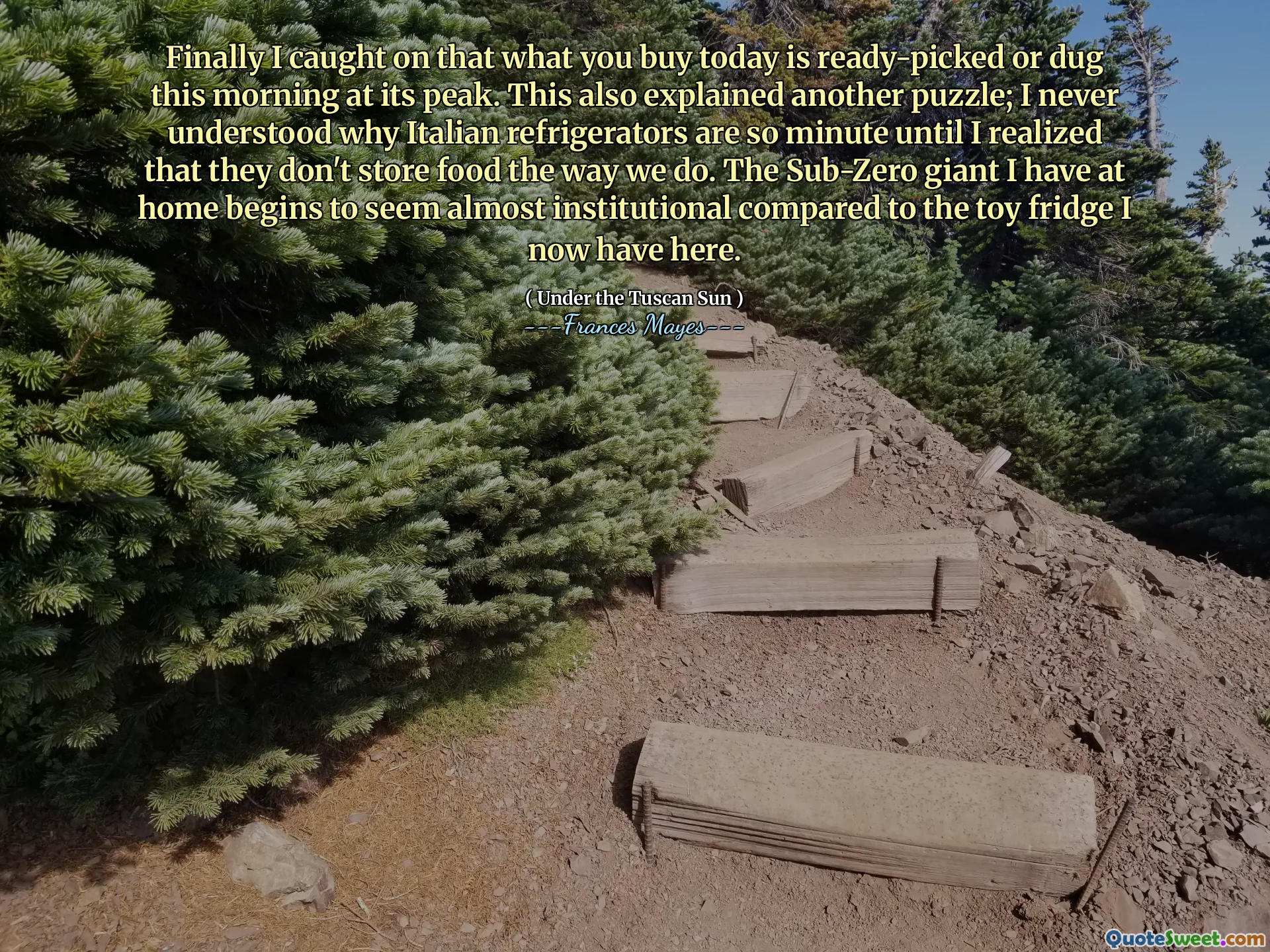 Finalmente, capté que lo que compras hoy está listo o cavado esta mañana en su apogeo. Esto también explicó otro rompecabezas; Nunca entendí por qué los refrigeradores italianos son tan minuciosos hasta que me di cuenta de que no almacenan comida como nosotros. El gigante sub-cero que tengo en casa comienza a parecer casi institucional en comparación con la nevera de juguete que ahora tengo aquí.