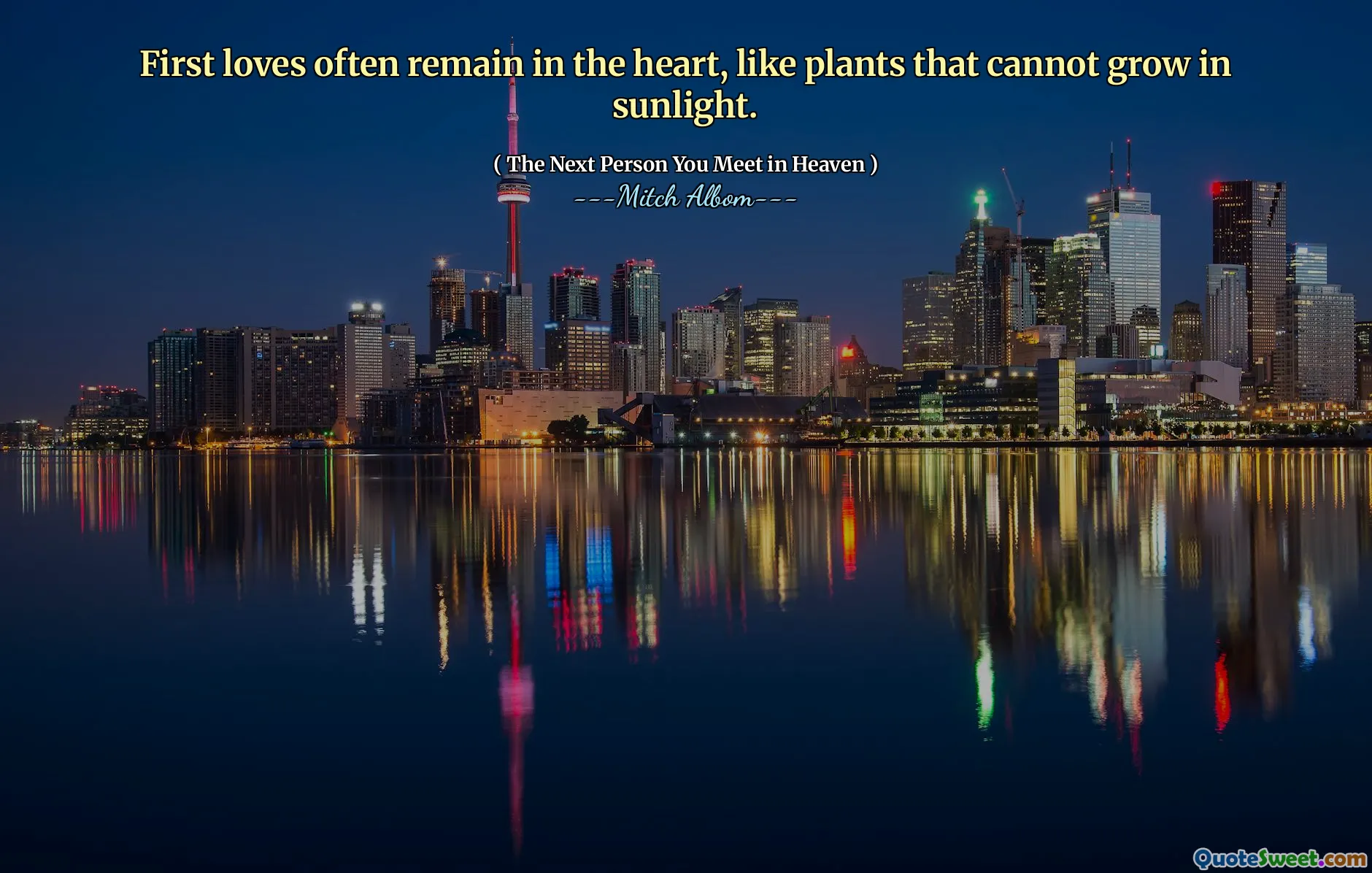 First loves often remain in the heart, like plants that cannot grow in sunlight.